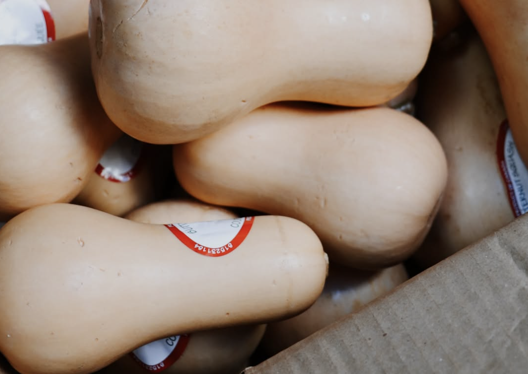 Weekly Tips: February 20