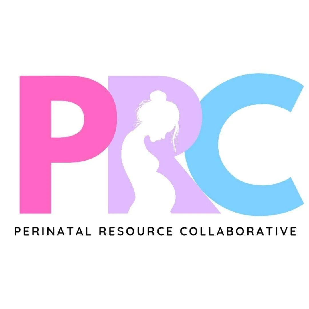 Collab-a-Palooza hosted by the Perinatal Resource Collaborative
