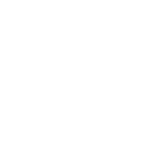 Outline of a human brain with a continuous line design.
