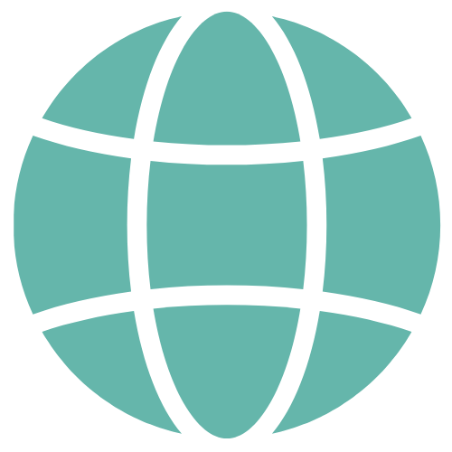 Icon of a globe with latitude and longitude lines in teal and black.