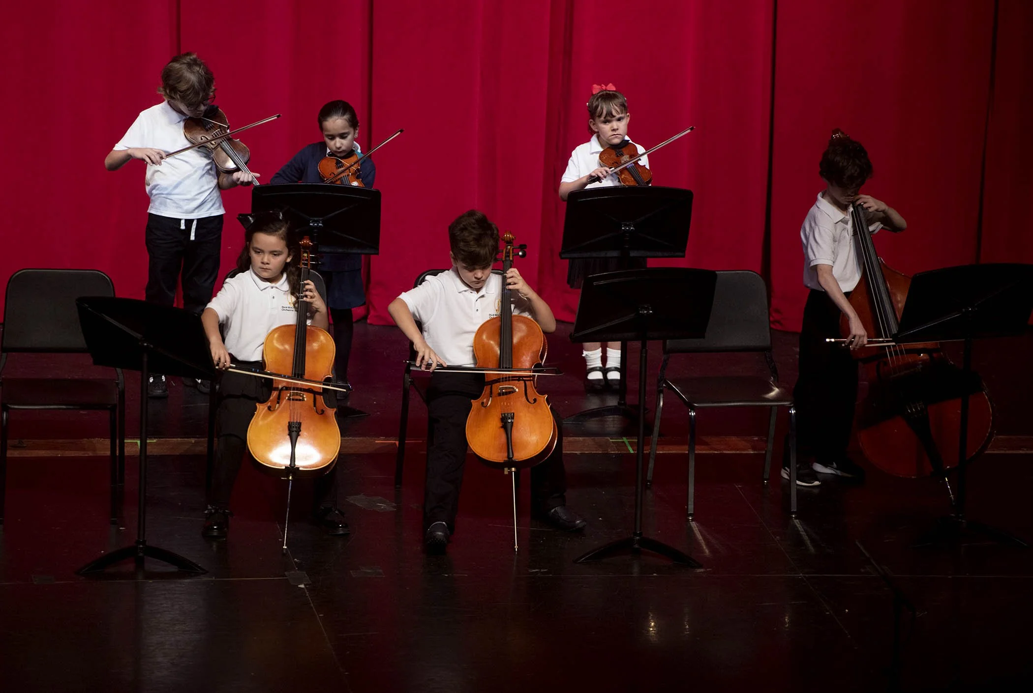 121724 strings 69.JPG