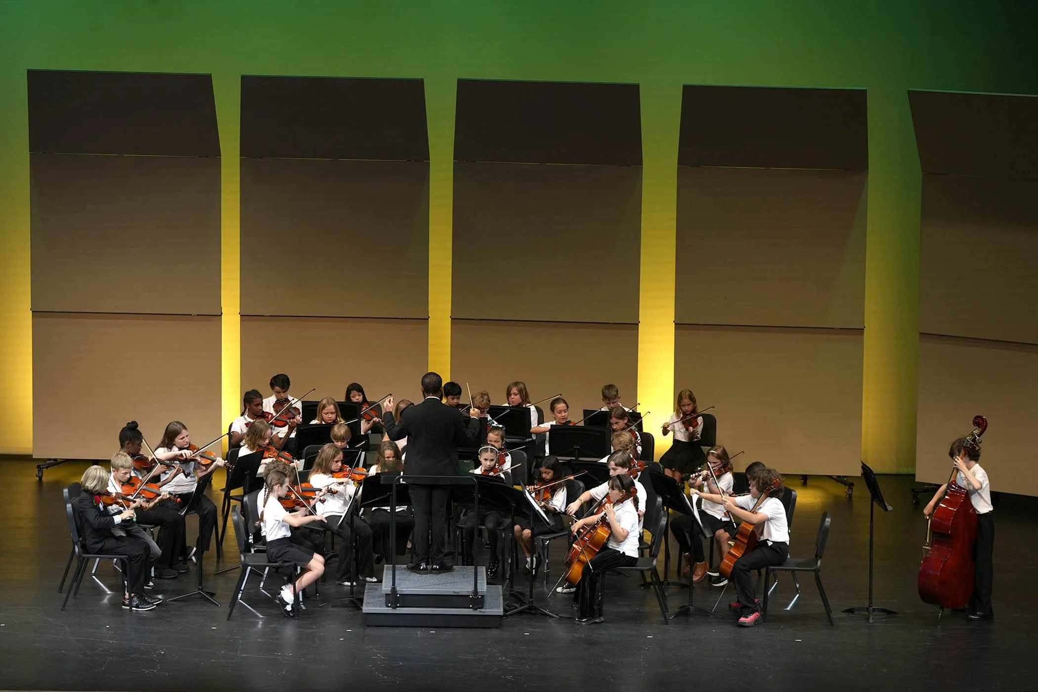 043026 strings 31.JPG