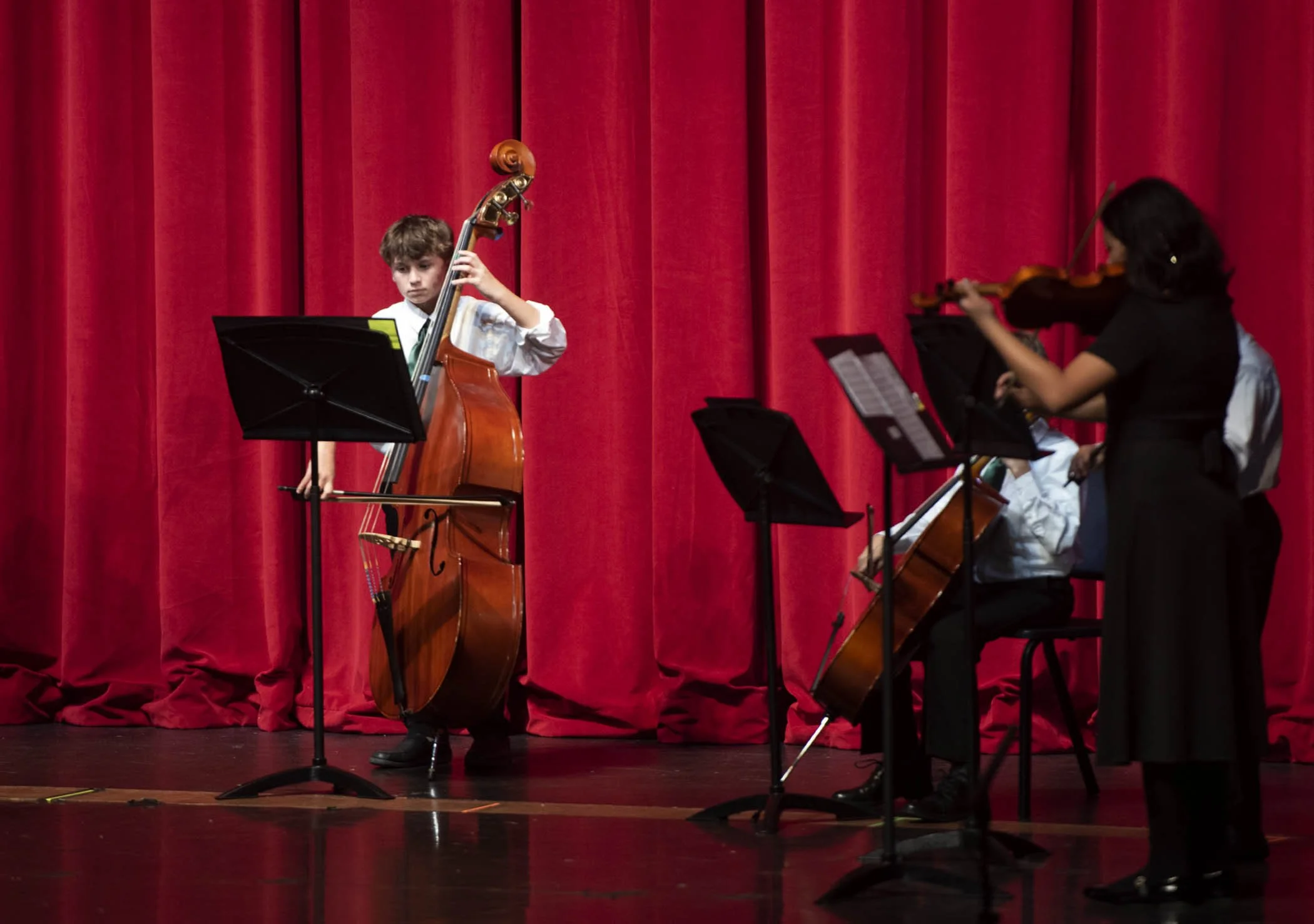 121724 strings 12.JPG