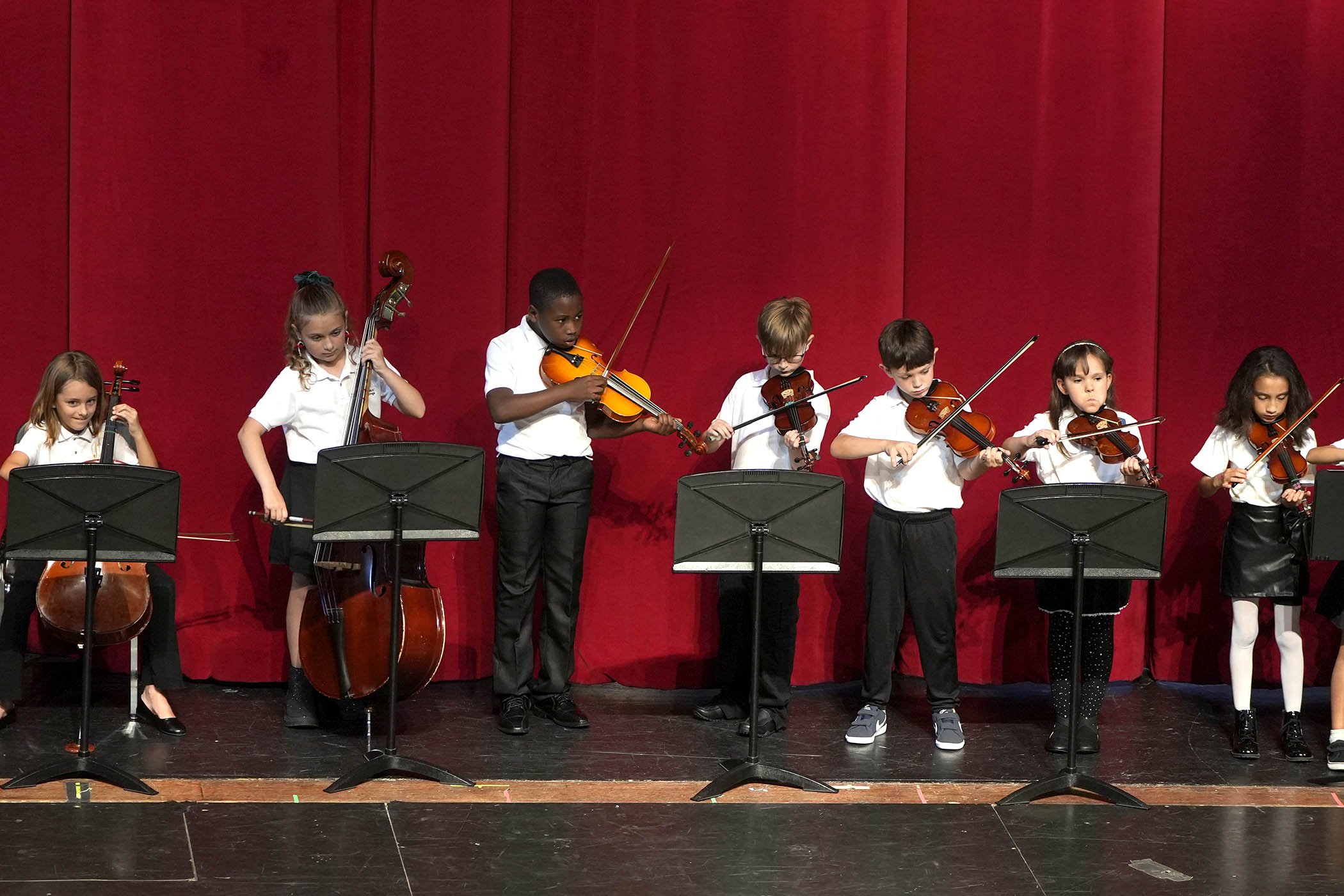 120225 strings 44.JPG