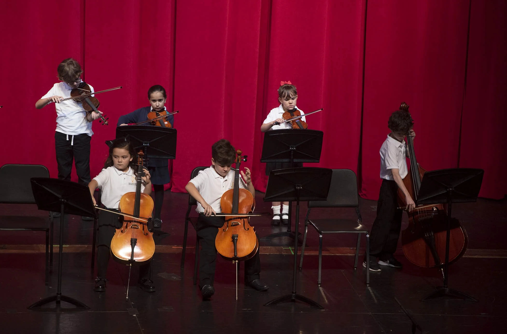 121724 strings 75.JPG