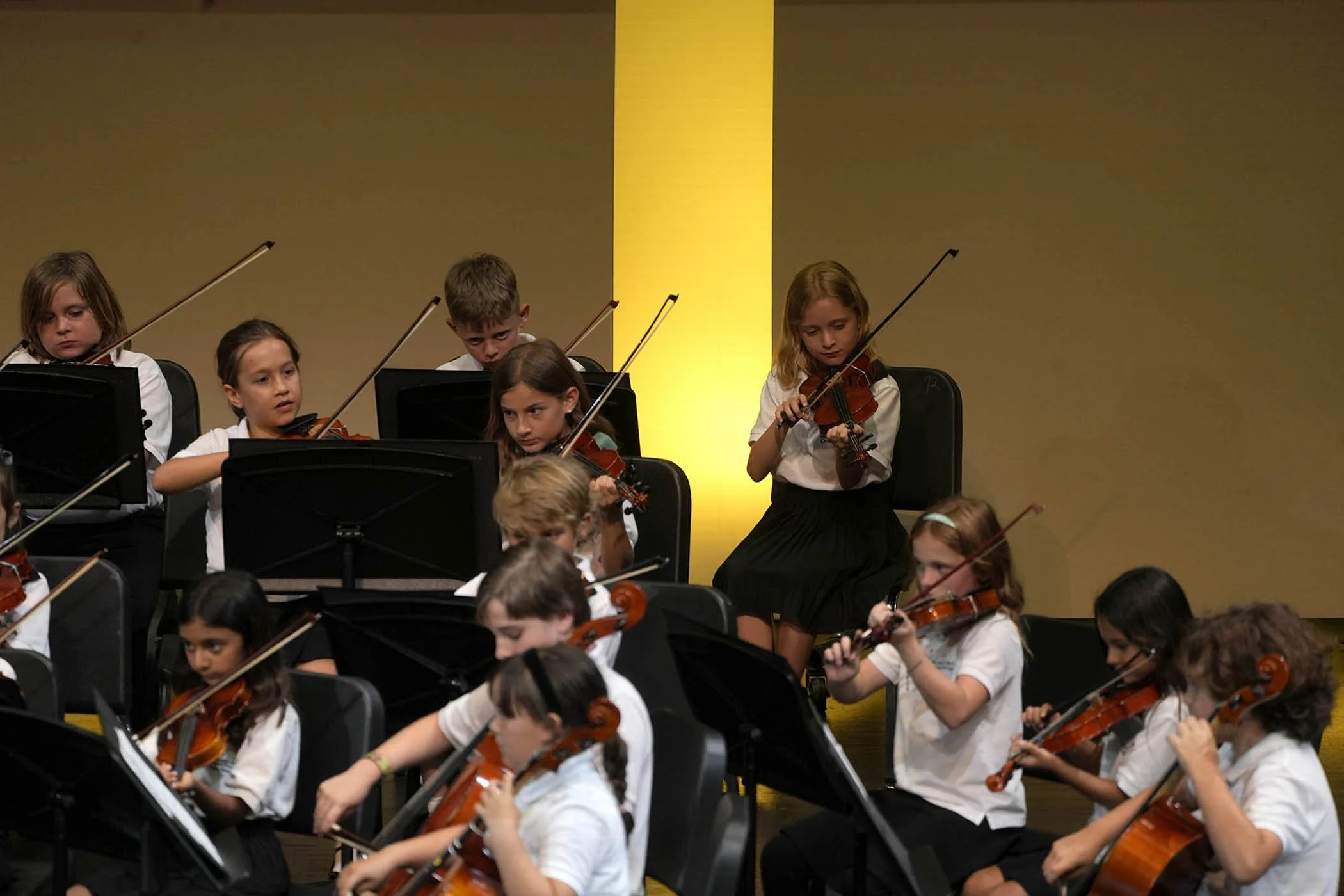 043026 strings 30.JPG