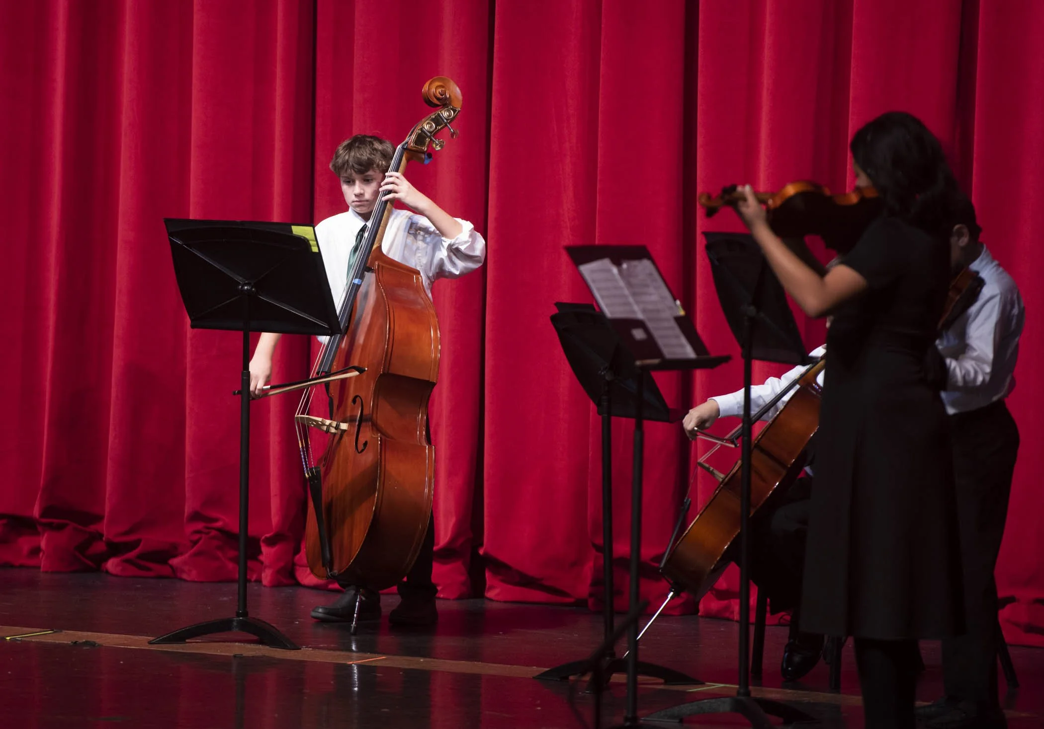 121724 strings 07.JPG