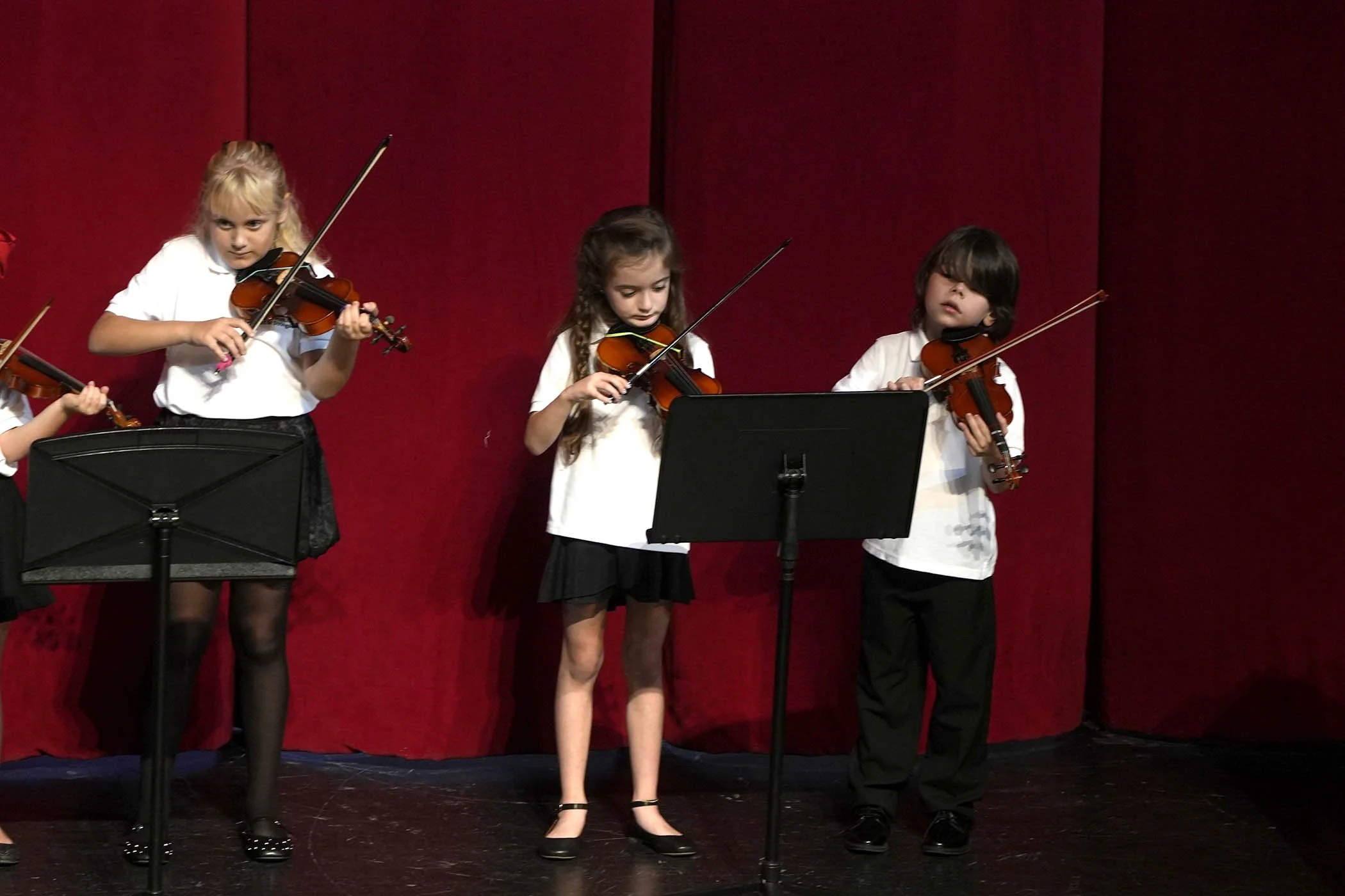 120225 strings 31.JPG