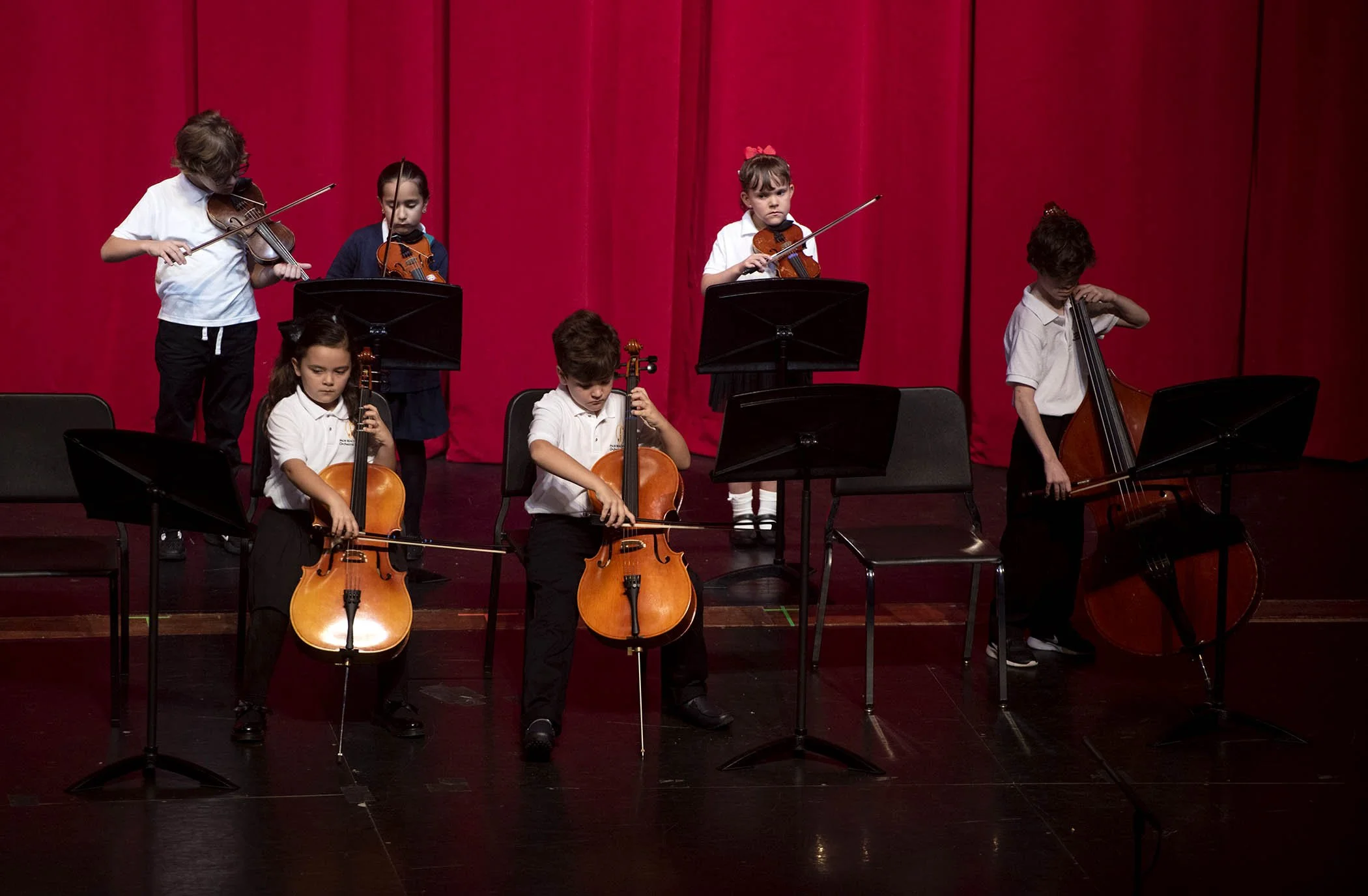 121724 strings 70.JPG