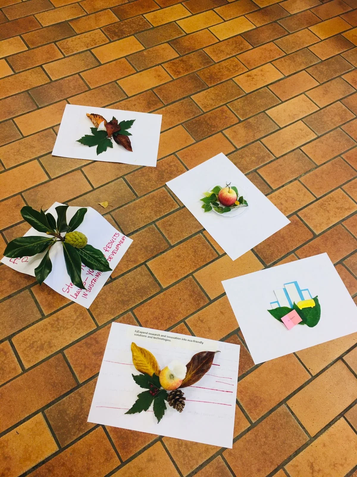 WhatsApp Image 2023-10-15 at 12.13.06.jpeg