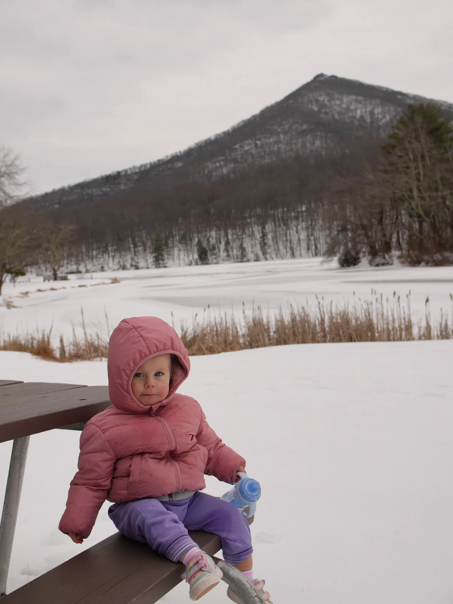 Abbott Lake at Peaks of Otter looked amazing today 🤍 Even though the Blue Ridge Parkway is closed for winter, the section between Peaks of Otter and State Road 43 (Goose Creek) is still open.

The drive is really worth it! So many snow-covered mount
