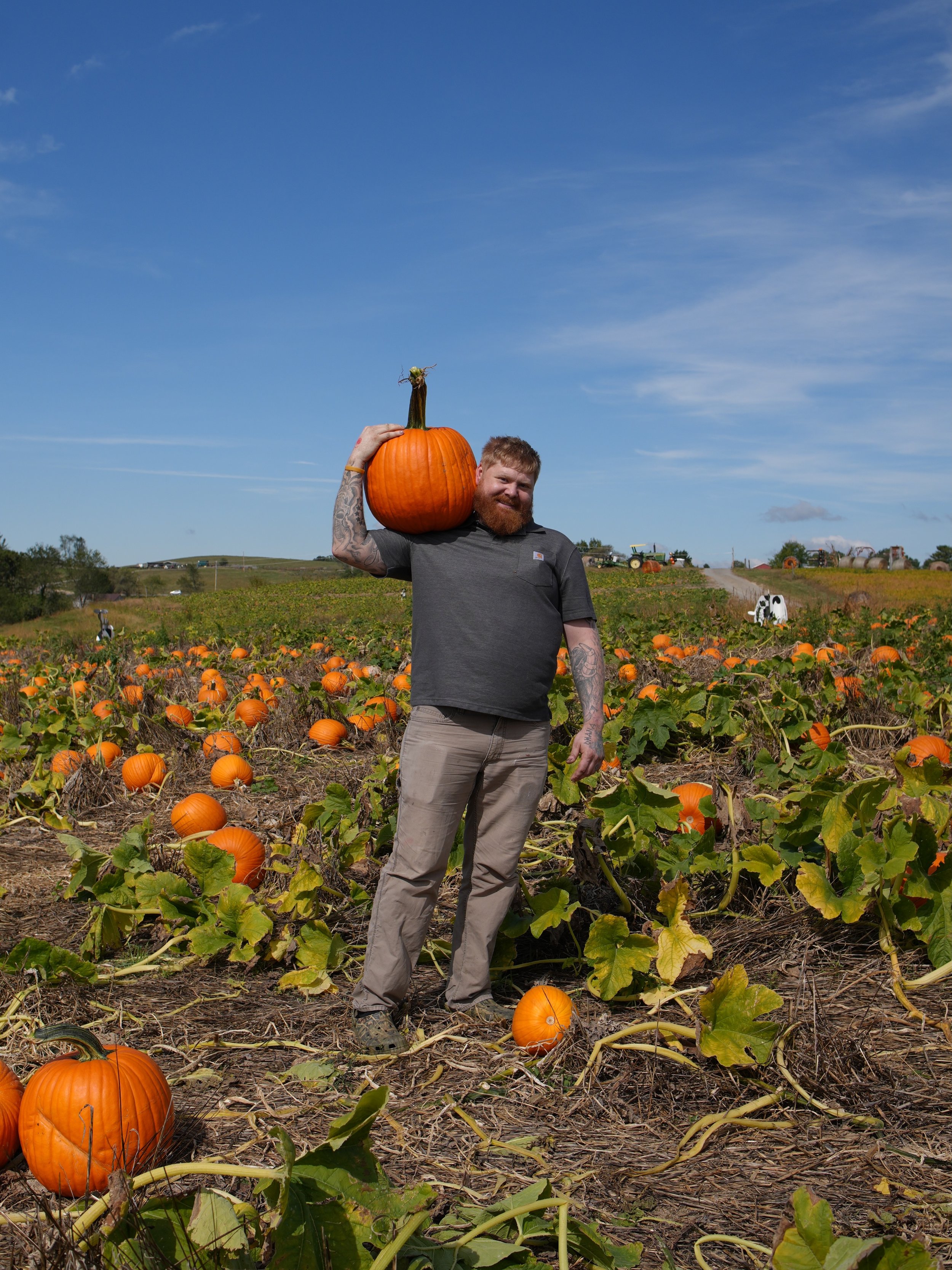 Fall is officially in full swing, and so is the 35th Annual Pumpkin Festival at @sinklandfarmsllc! This year&rsquo;s event is extra special, because Sinkland was voted one of the Best Pumpkin Patches in the United States by @usatoday! 🎃 #ad 

Now th