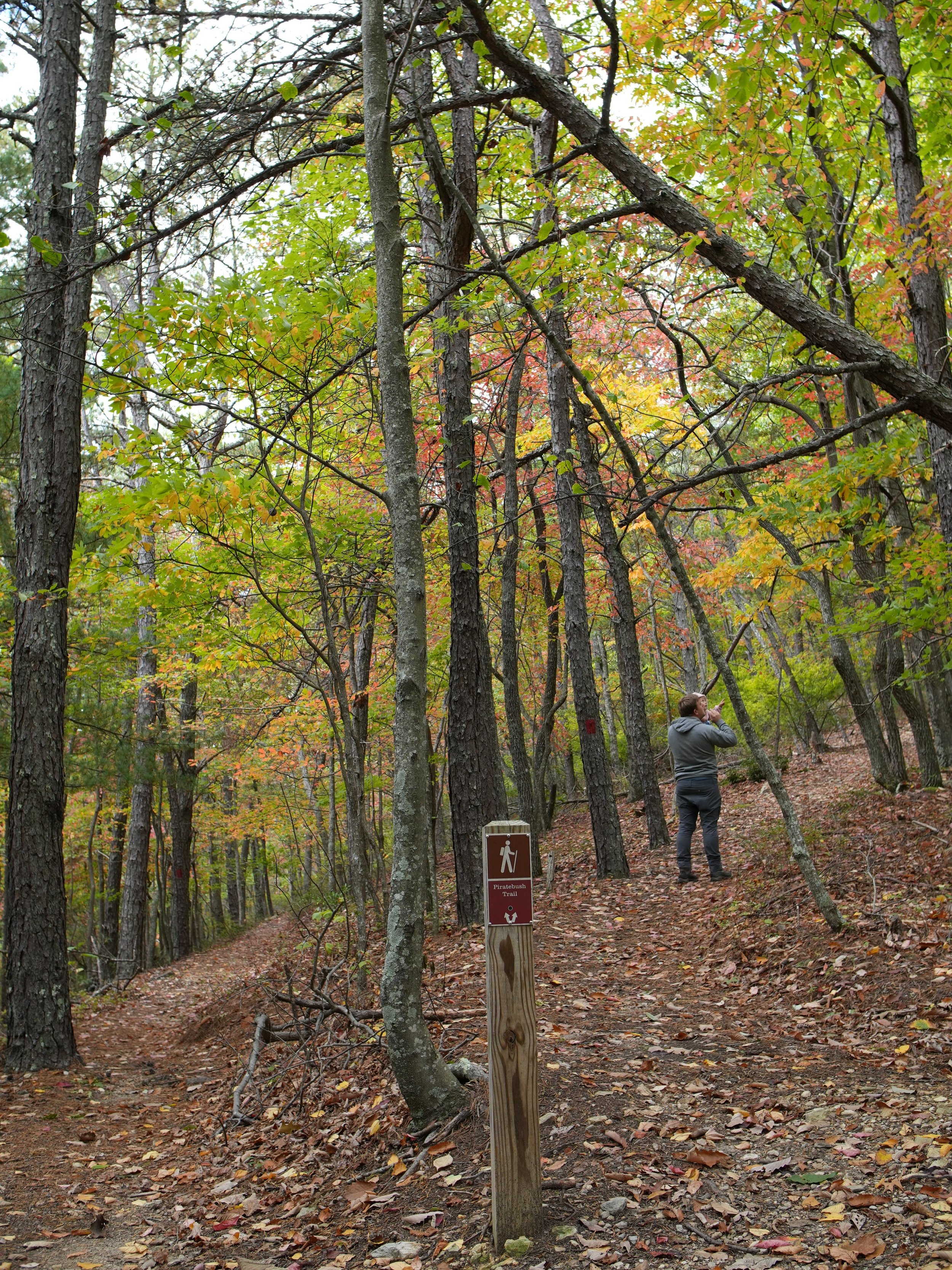 The Japanese have a name for immersing yourself in nature: *shinrin-yoku*, or forest bathing. 🍂🌲 And fall around here is the perfect time for it!

Located just outside Salem, Poor Mountain Natural Area Preserve has two hiking trails to explore: the