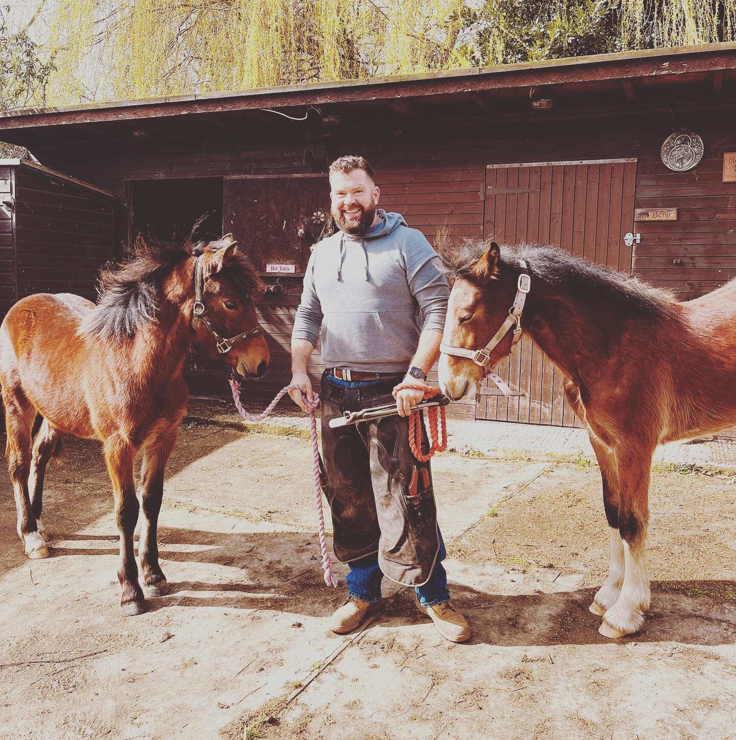 Today Bertie and Harry got their first ever trims and they were impeccably behaved!
Hopefully the start of a long working relationship with these chaps!
#farrier #farriersofinstagram #farriery #farrierslife #horse #horseshoe #horseshoeing #trim #