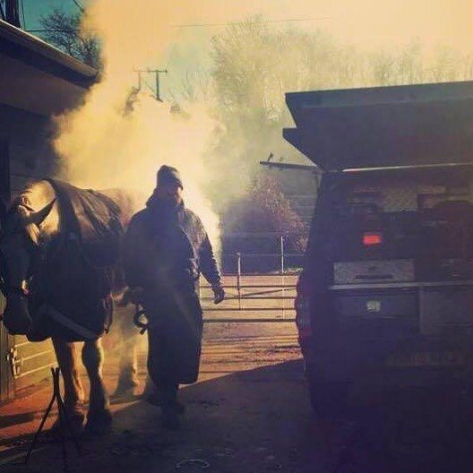 Check out the new website!
(Link in bio)
simonleggefarriery.co.uk
#farrier #farriersofinstagram #farriery #farrierslife #horse #horseshoe #horseshoeing #hampshire #hampshirehorse