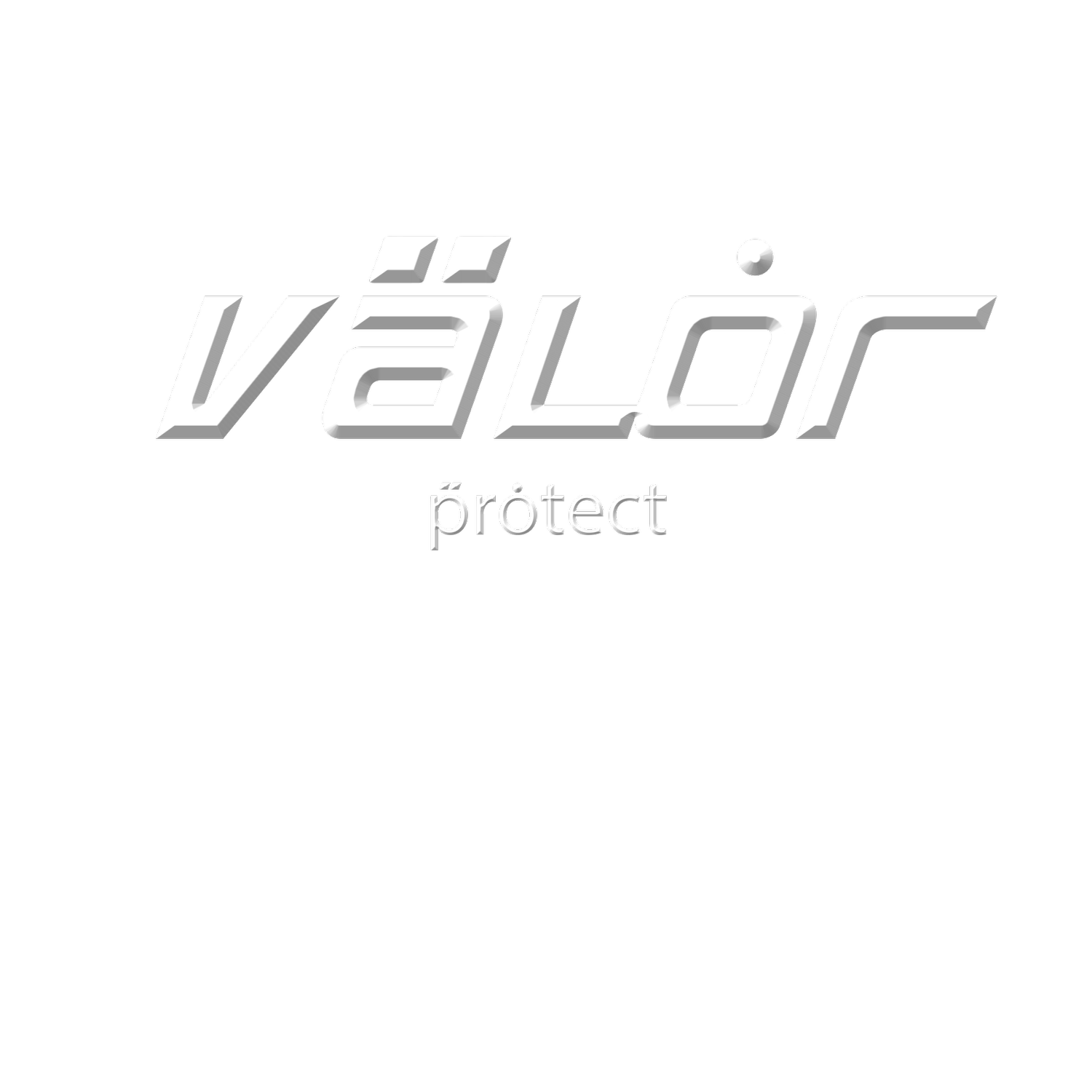 PROTECT VALOR