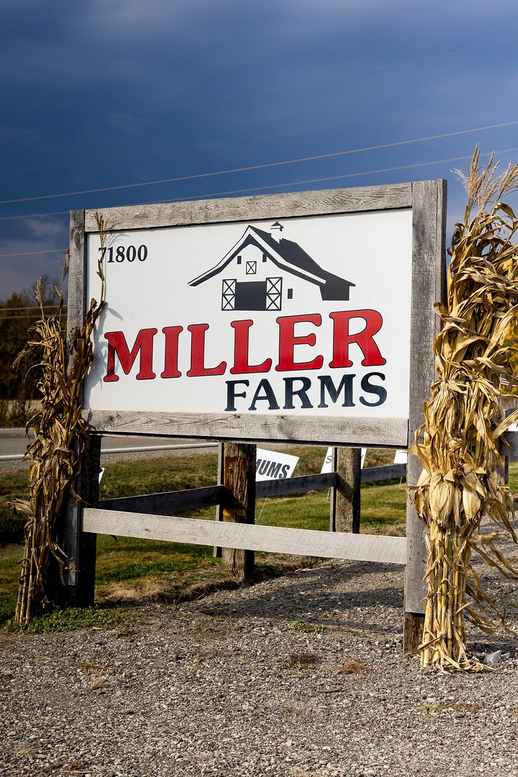KatherineKCagle-MillersFarm-2025-27_websize.jpg