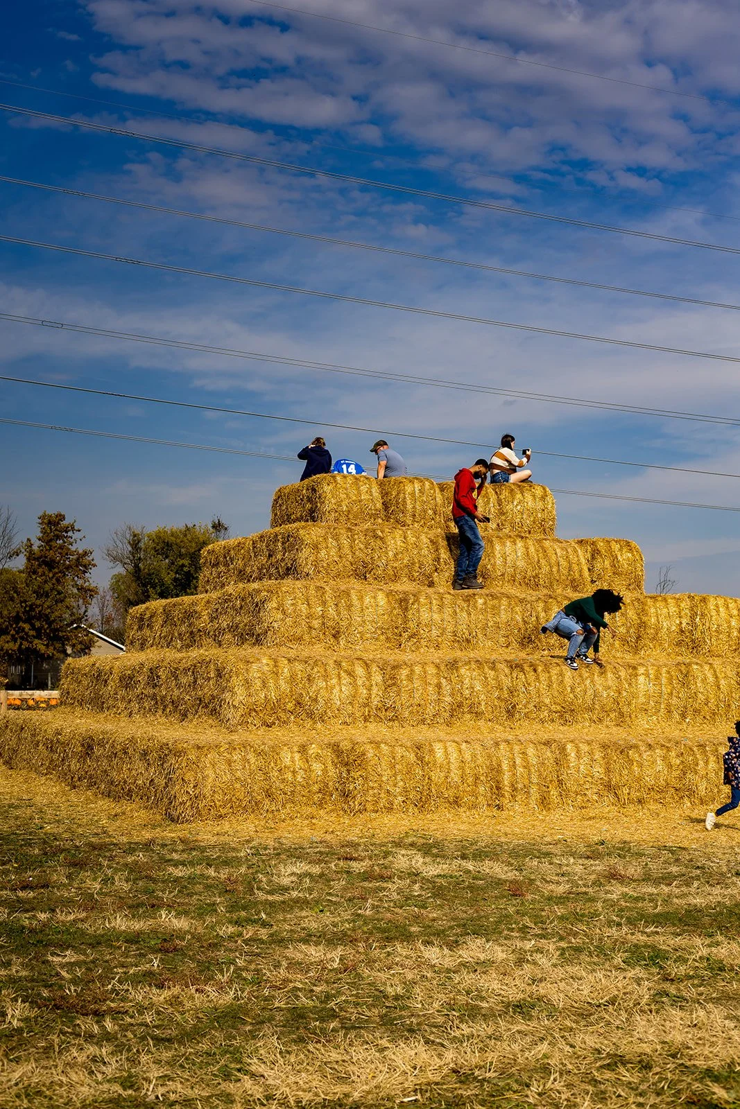 KatherineKCagle-MillersFarm-2025-5_websize.jpg