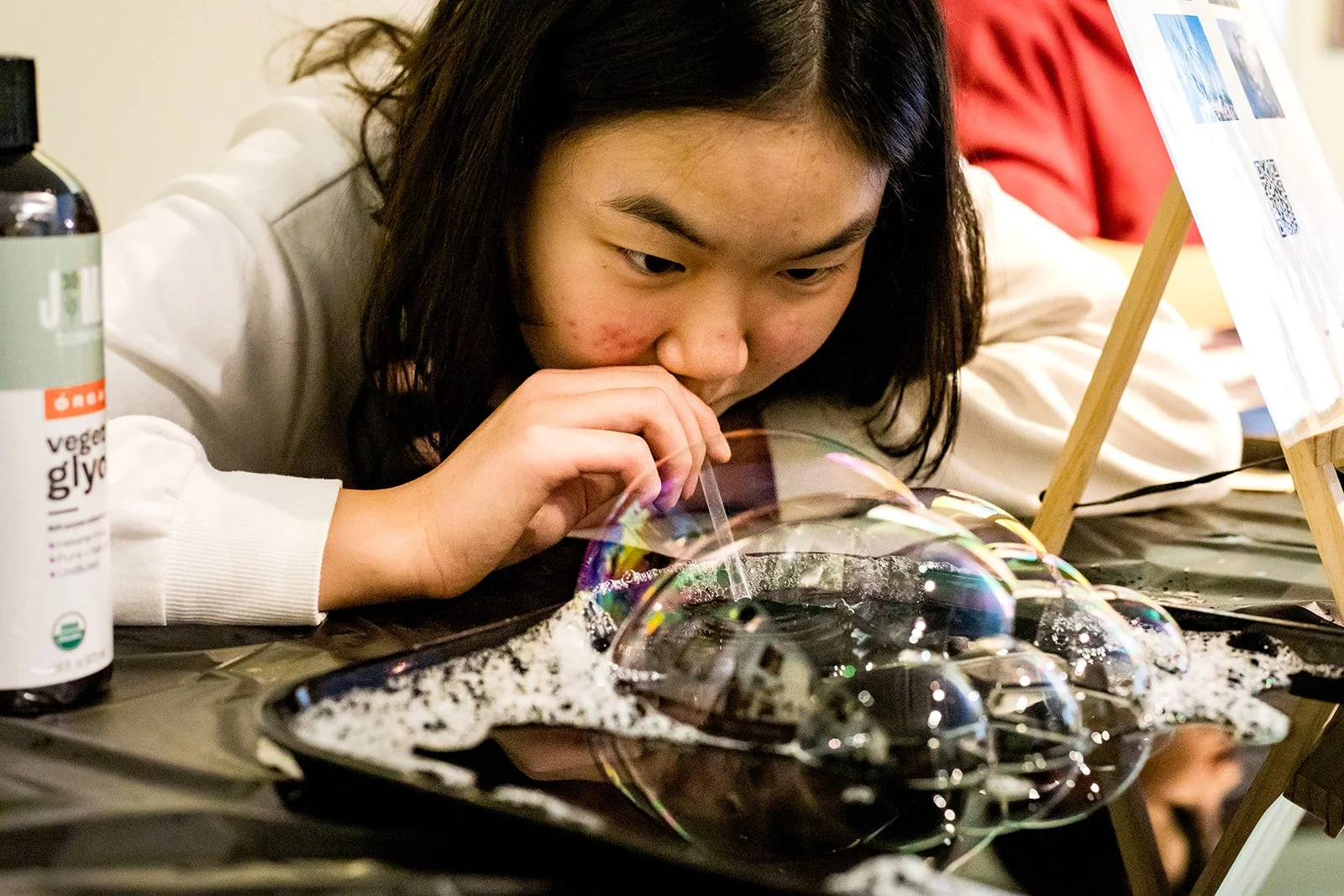 Cranbrook Institiute of Science-SirenPR-PhotosbyKatherinekcaglephoto-37_websize.jpg