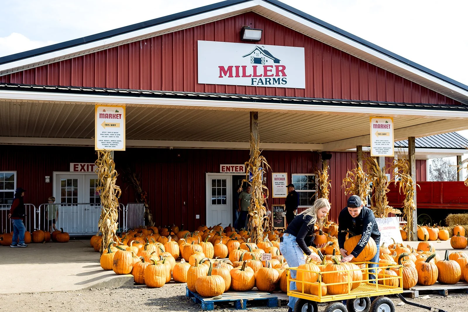 KatherineKCagle-MillersFarm-2025_websize.jpg