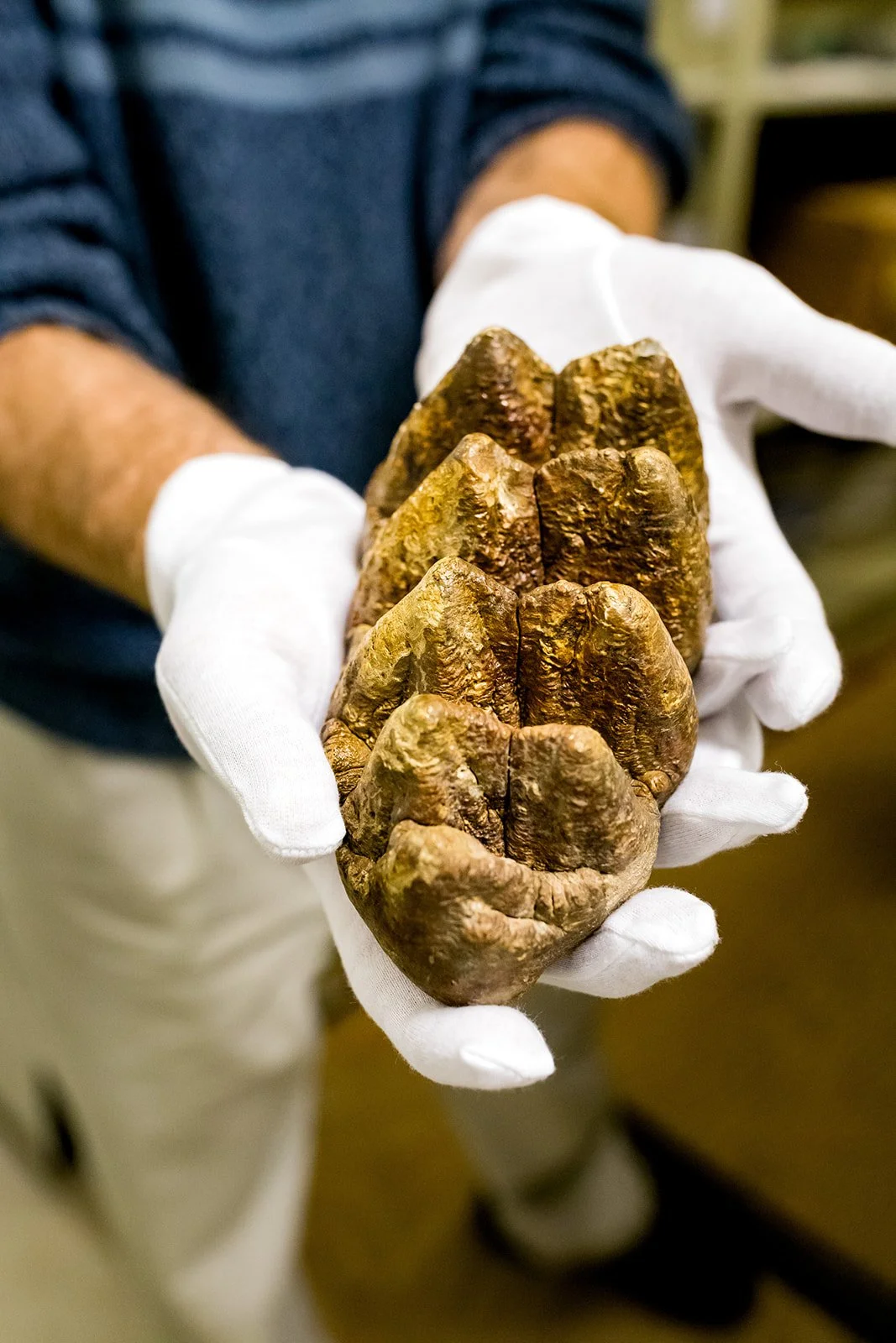 CranbrookInstituteofScience-Minerals-62_websize.jpg