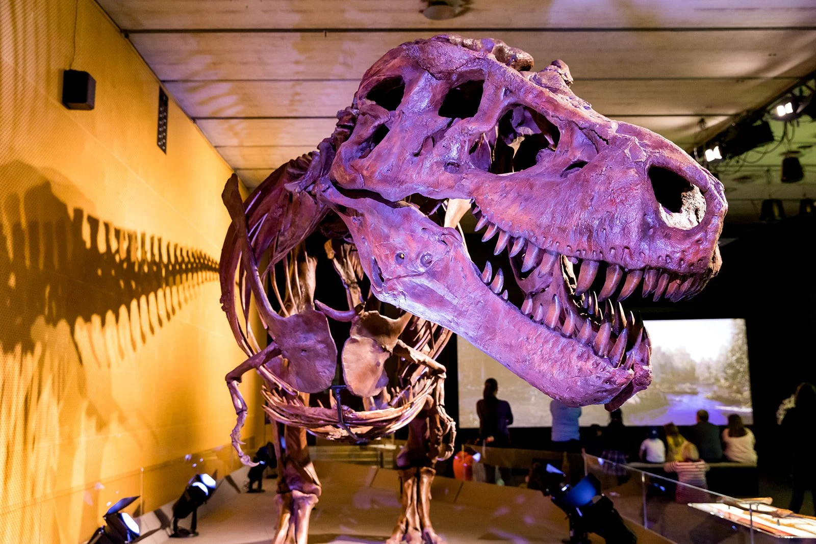 CranbrookScienceInstitute-KatherineKCagle-Photogrpaher-45_websize.jpg