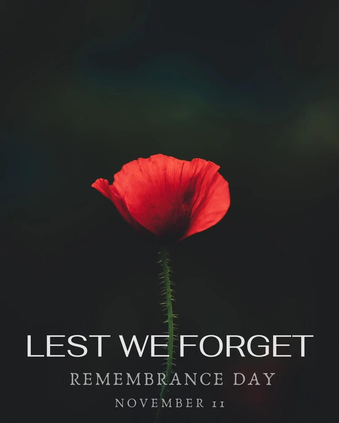 Today, we honour those who served and continue to serve our country during times of war and peace. 

In observance of Remembrance Day, our Vancouver office will be closed today.

#canadaremembers on November 11