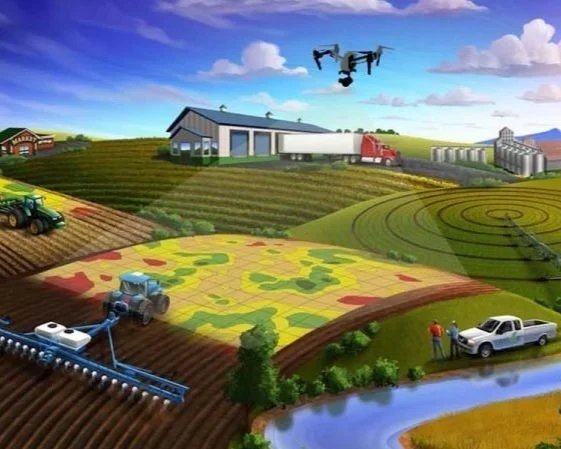 Agricultura de precisión: ¿Qué es?