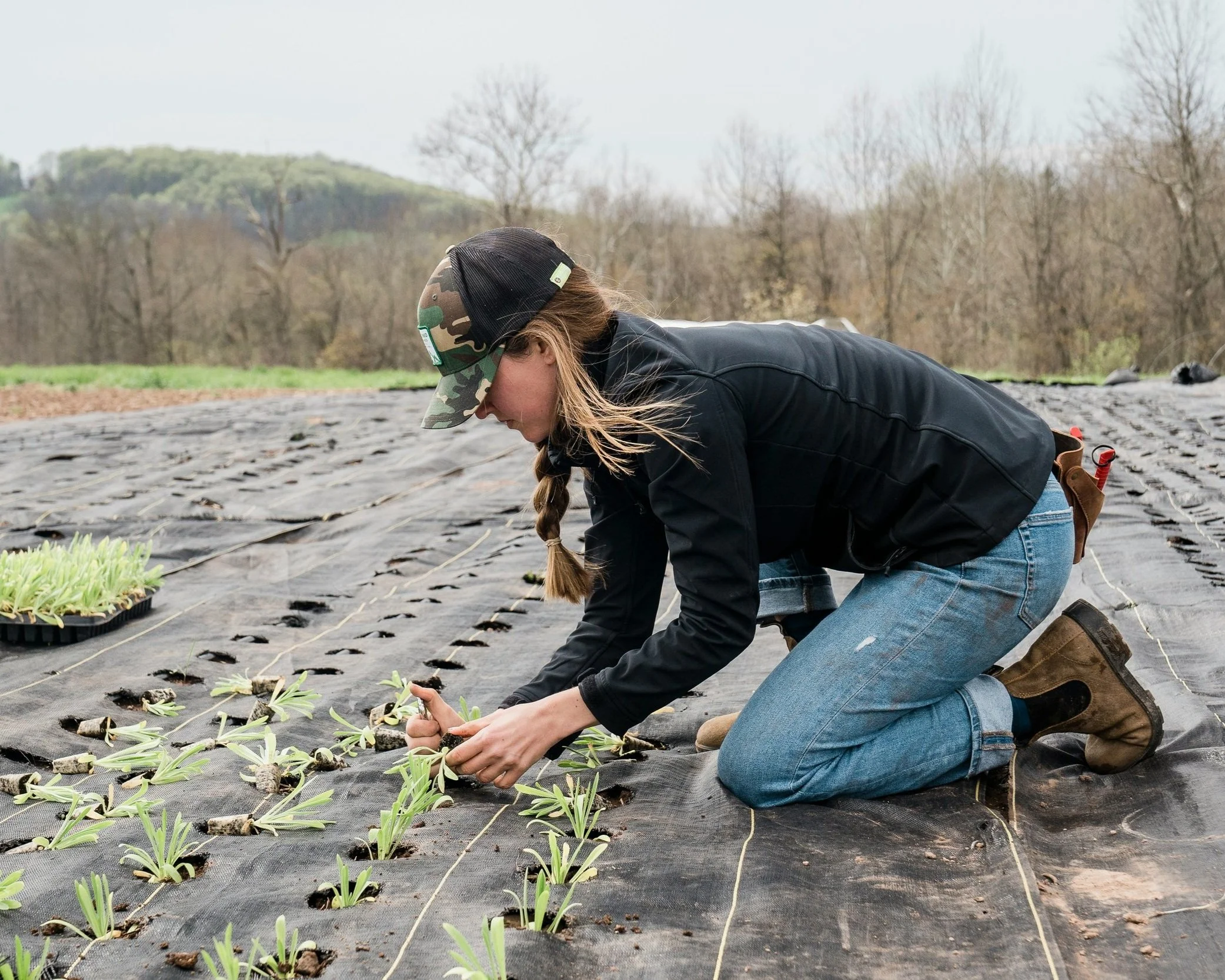 Agricultura Regenerativa