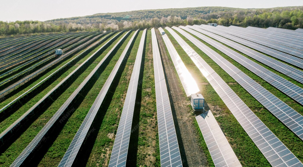 Agroenergía: cuando la agricultura también produce electricidad