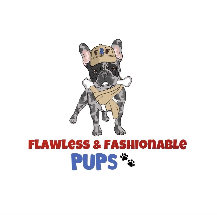 Flawless Fashionable Pups