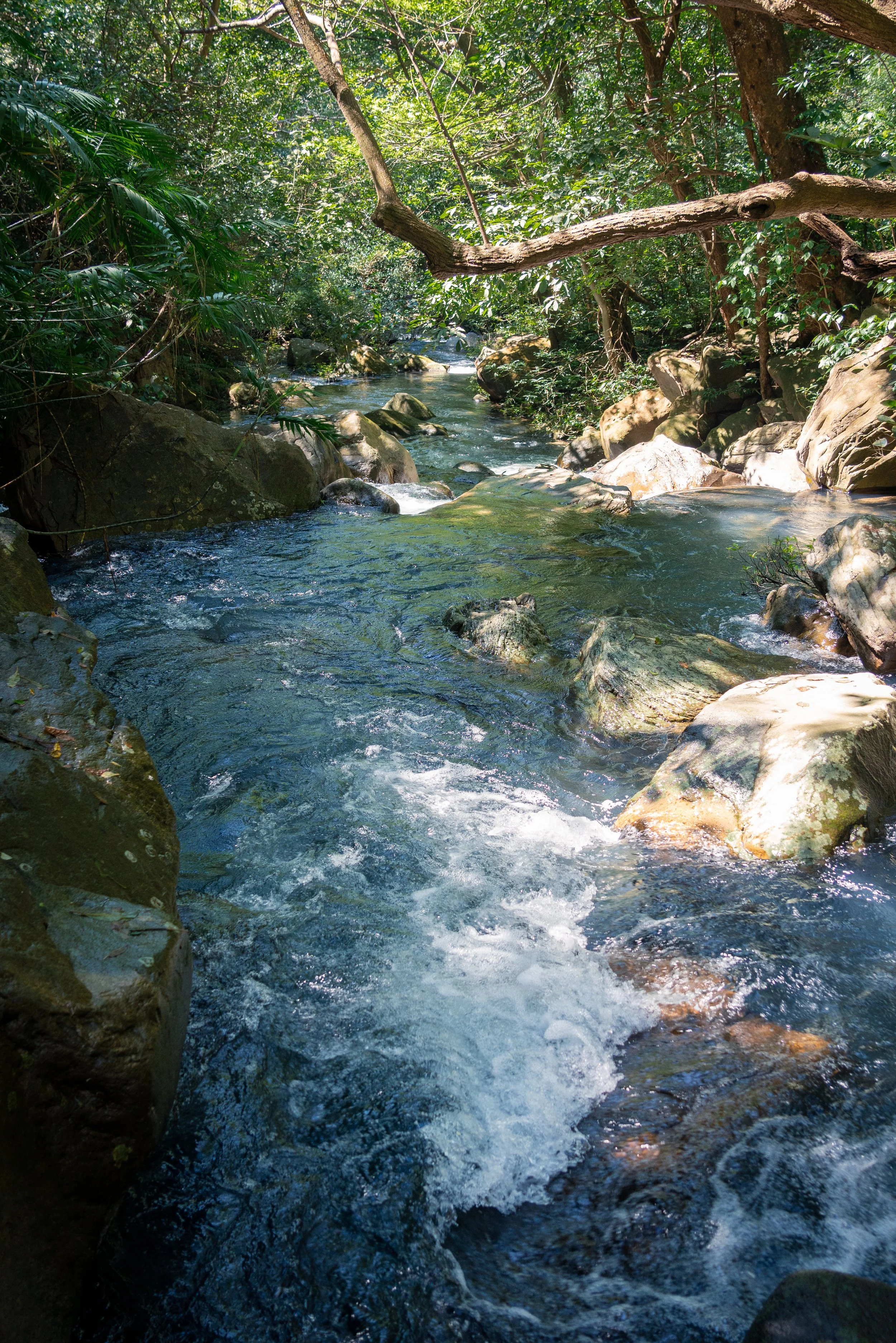 SA708377.jpg