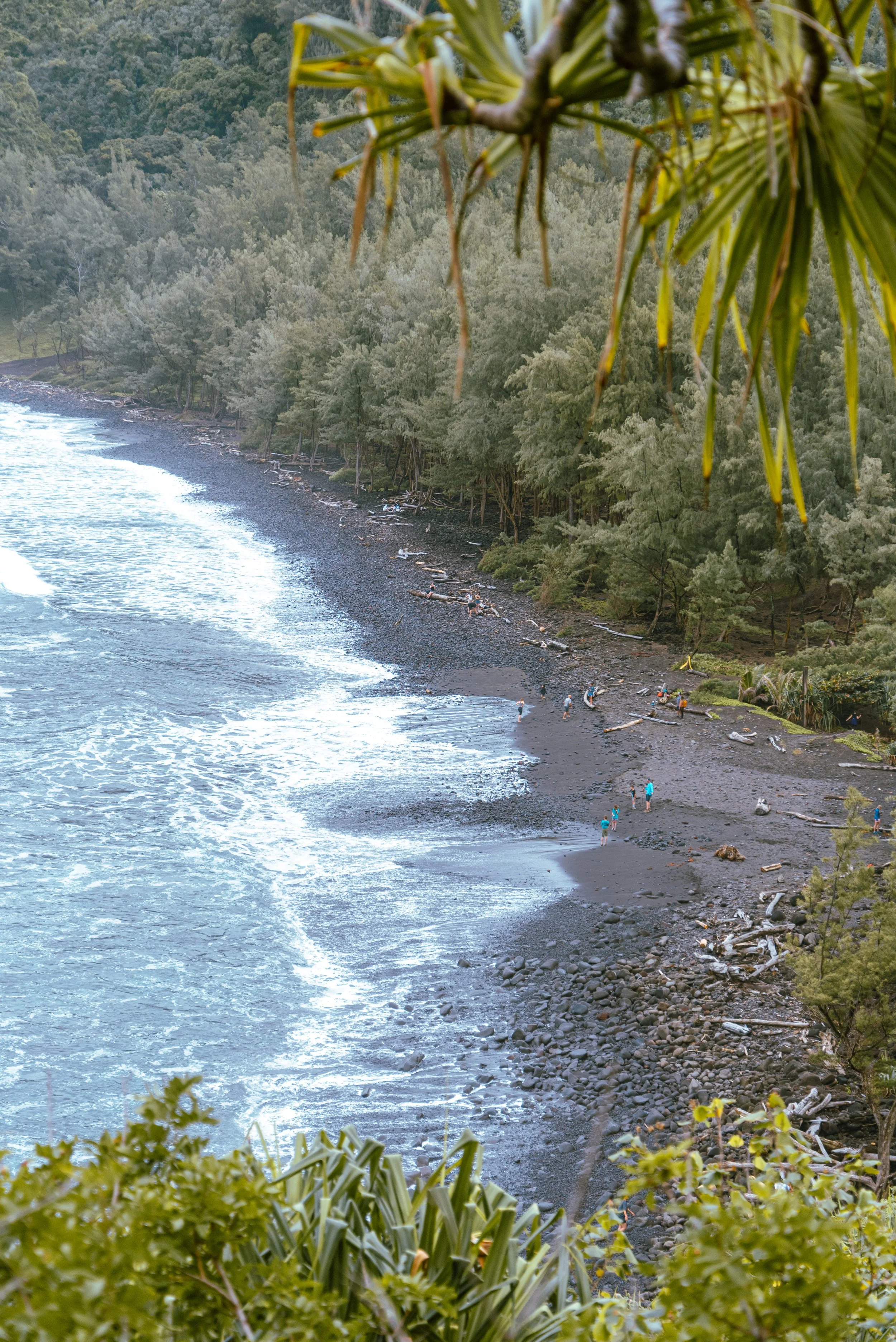 750_3221.jpg