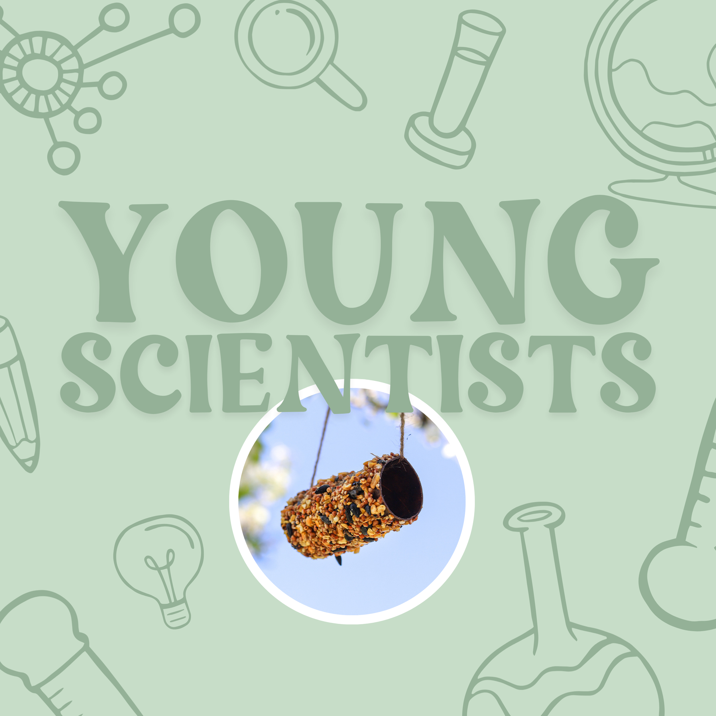 Young Scientists: Bird Feeders
