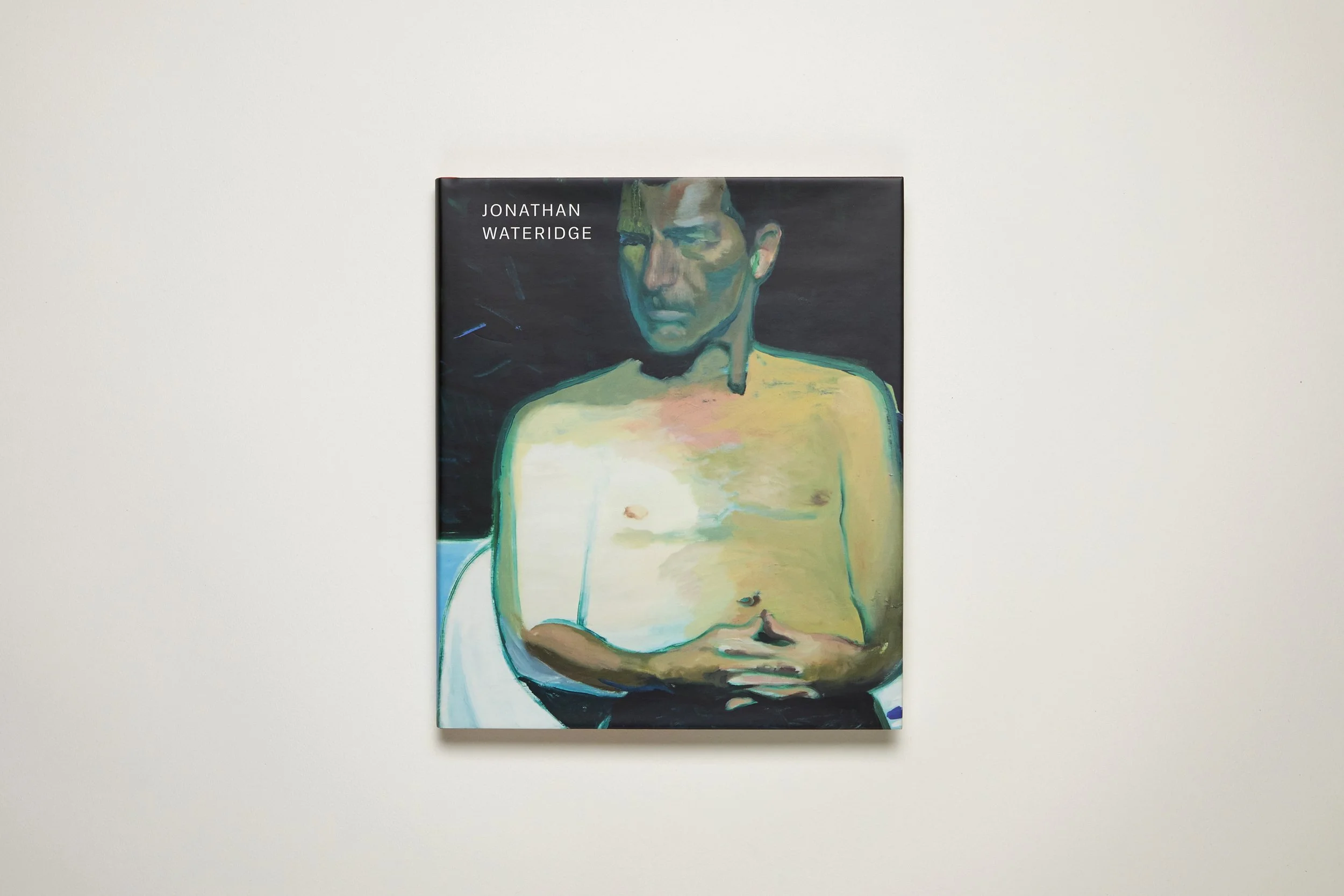 Jonathan Wateridge, Enclave/Expatria