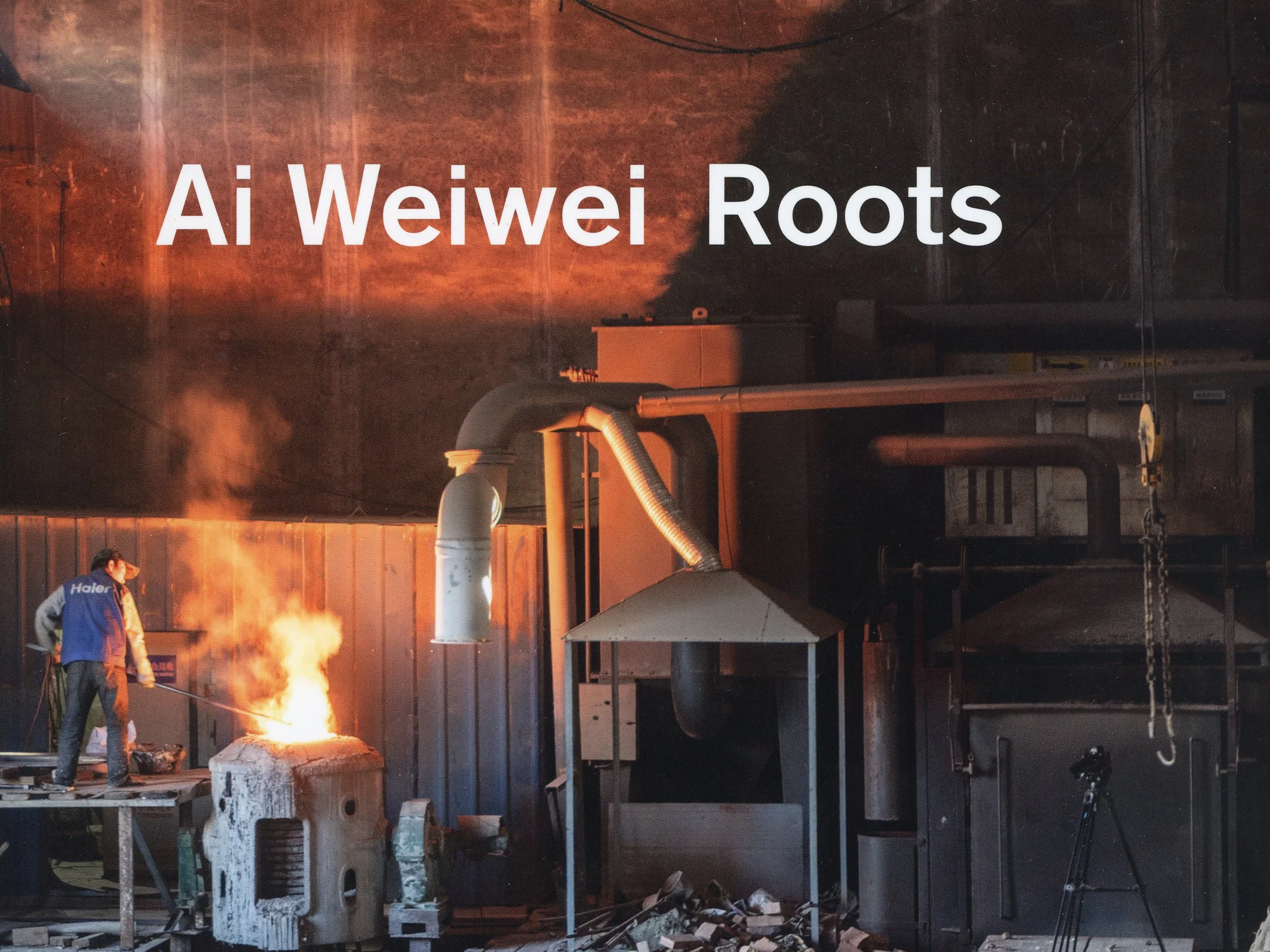 AiWeiwei_Roots_01.jpg
