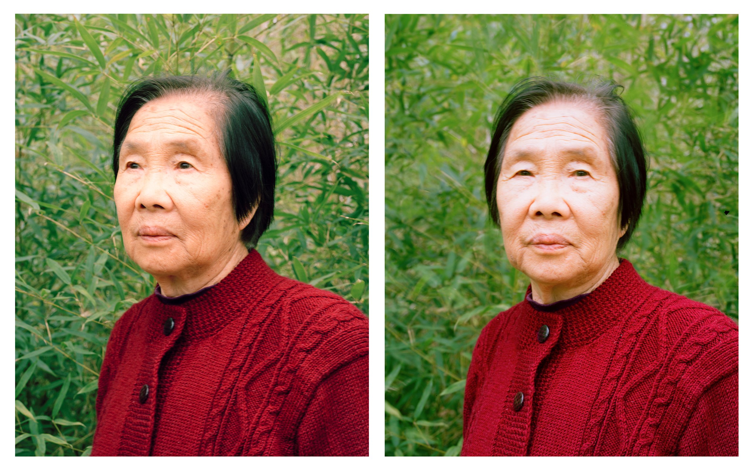 17-Nai Nai Diptych.jpg