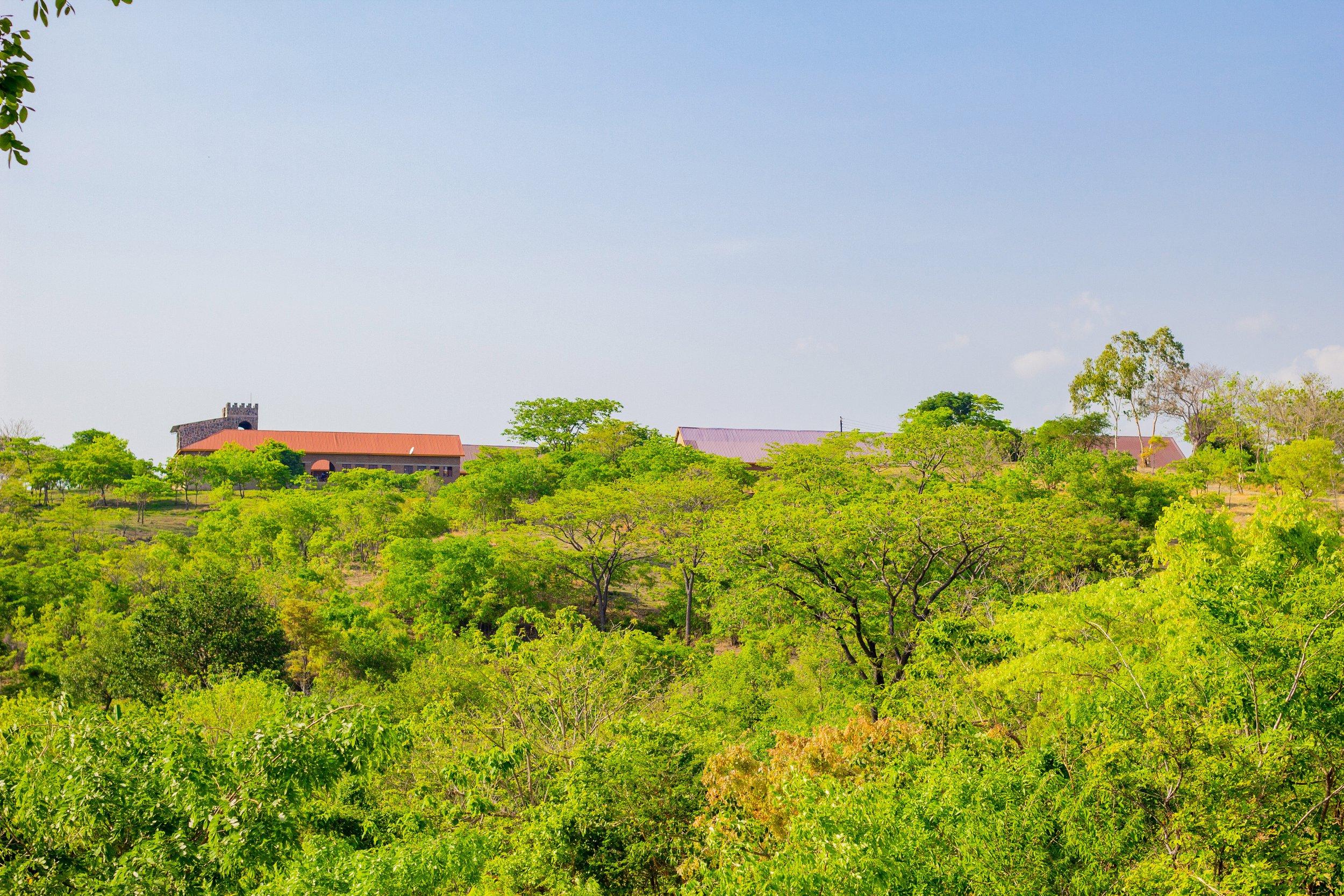 Wasambo Boys High School: A Green, Peaceful, and Inspiring Place for Learning