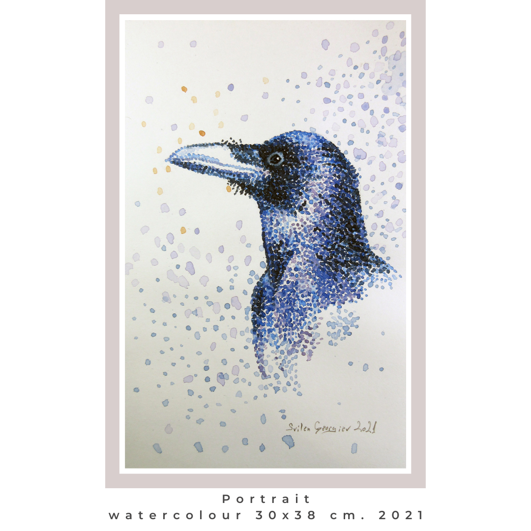 200£ (Free delivery in UK)