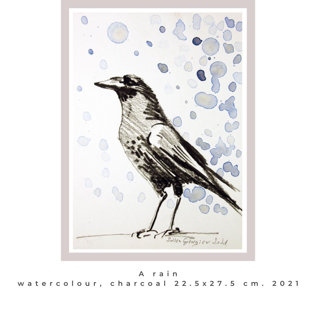 150 £ (Free delivery in UK)