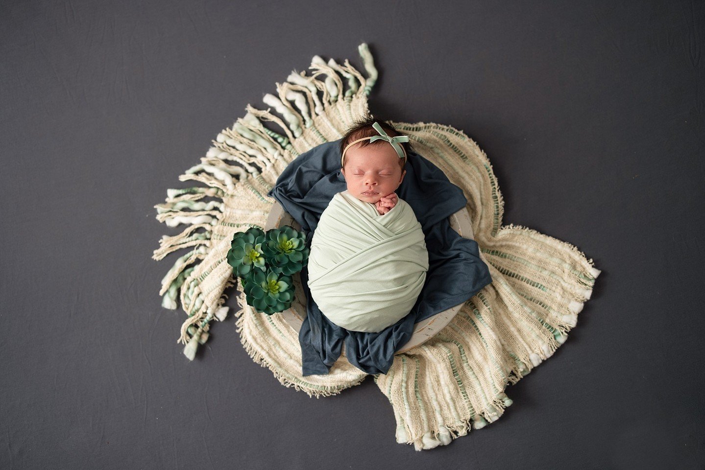 We are in LOVE with this look. The dark background with these tropical vibes! What do you think? 
.
.
.⁠
#FamilyPortraitSession #NewbornPhotographers #NewbornPhotographyProps #NewbornPhotoshoot #NewbornInspiration #PhotographyBackdrops #TheEverymom #