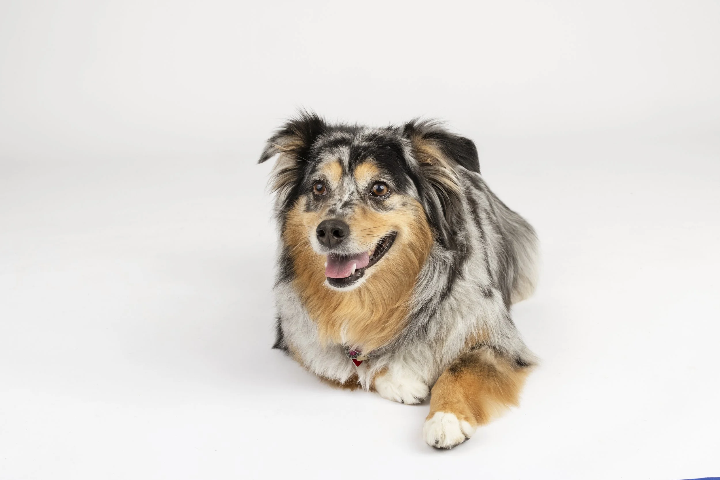 2025_03_16 Ardo021 copy.jpg