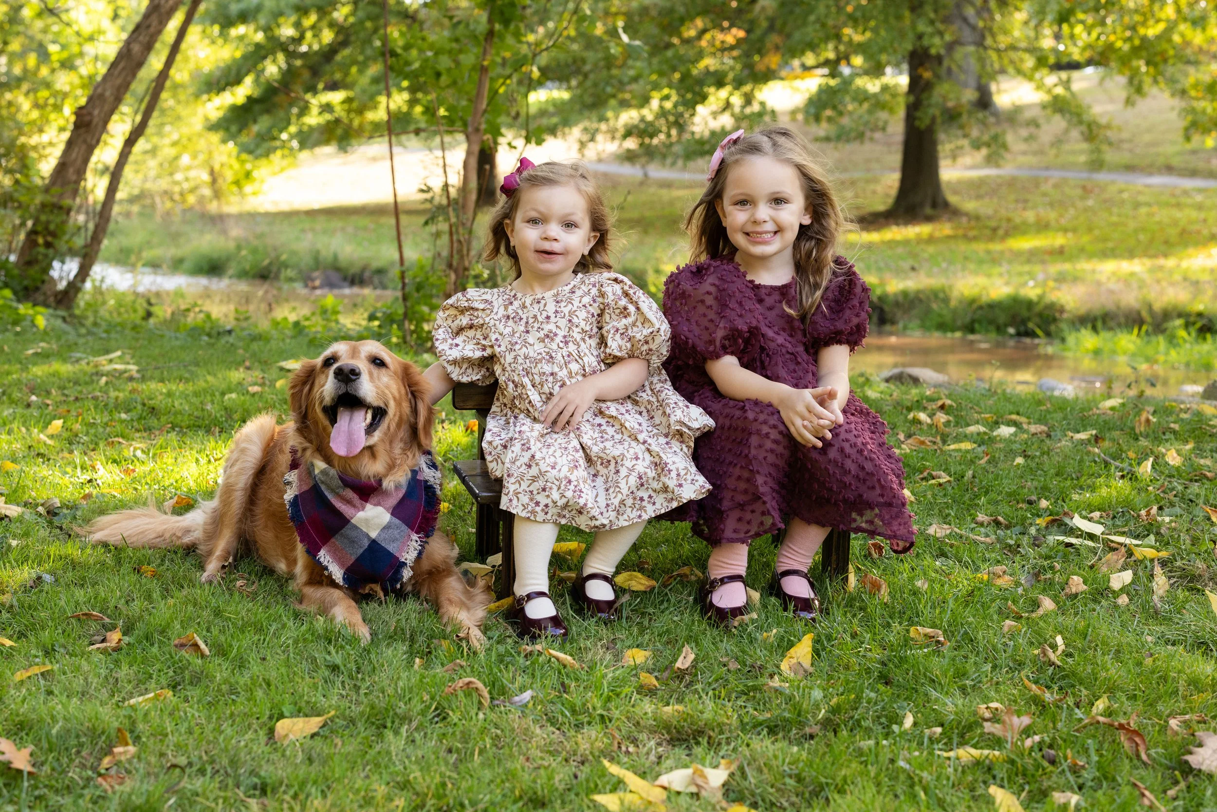 2024_10_07Tretola012copy (1) copy.jpg