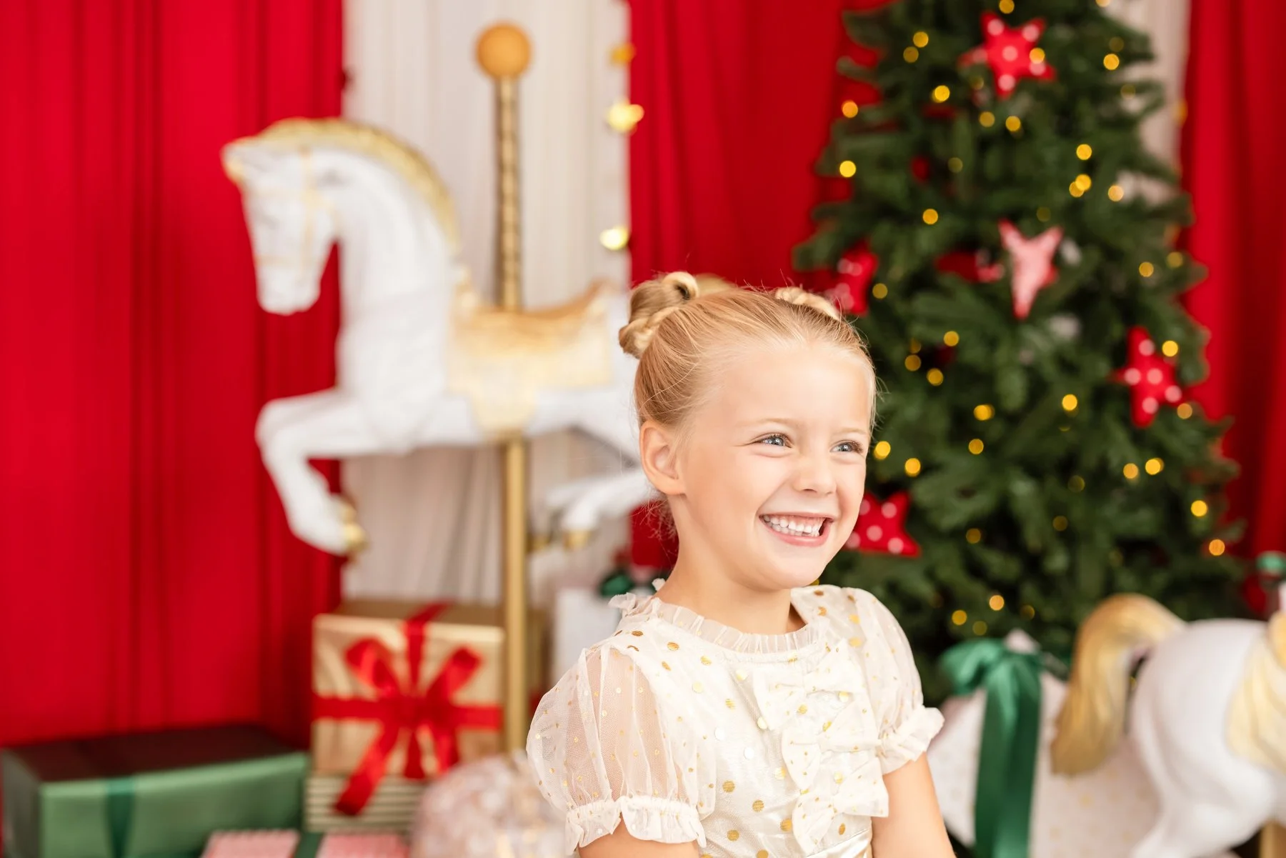 2026 Christmas Carousel_Christmas Photo3.jpg