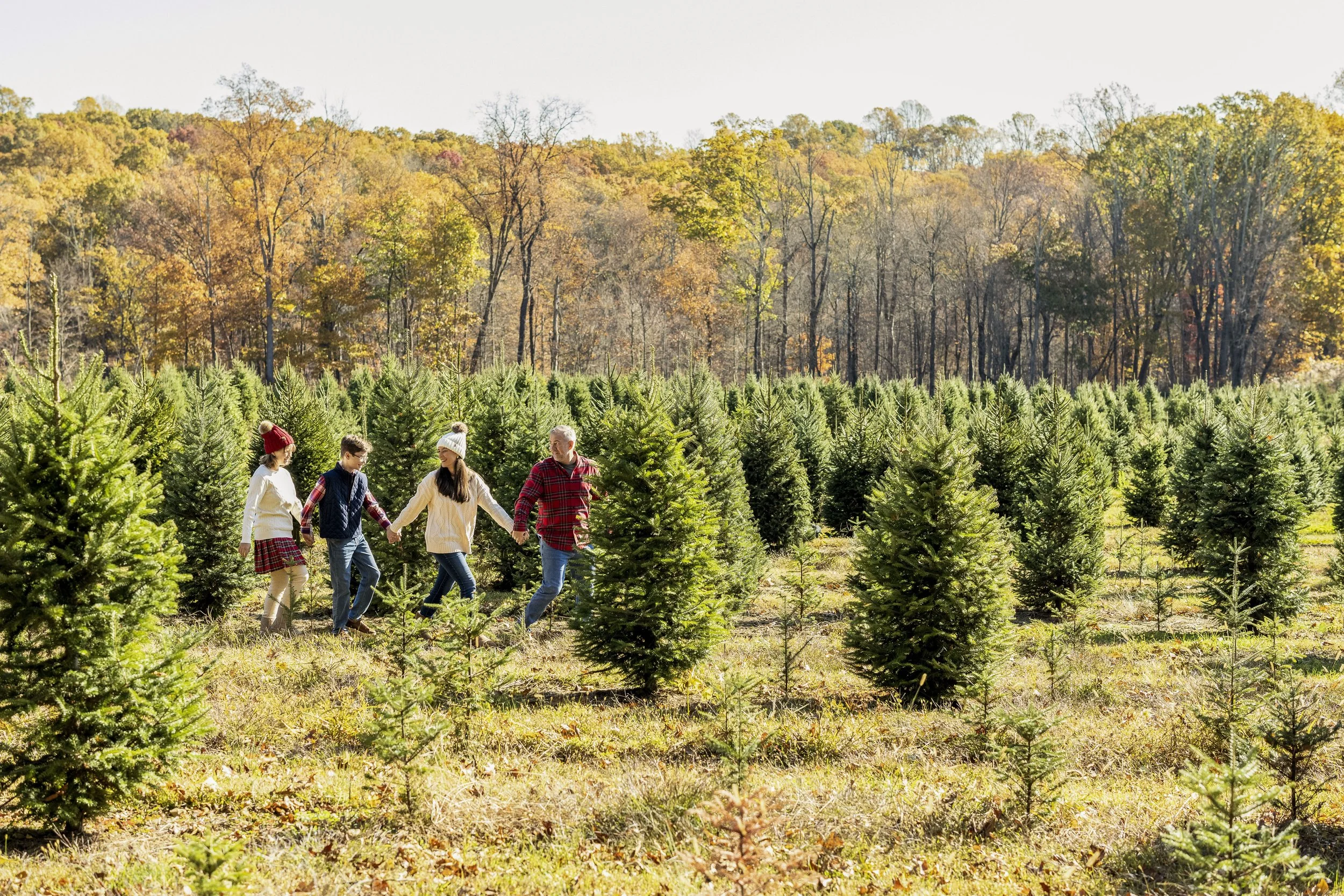 2025_11_02Zaremba036copy copy.jpg