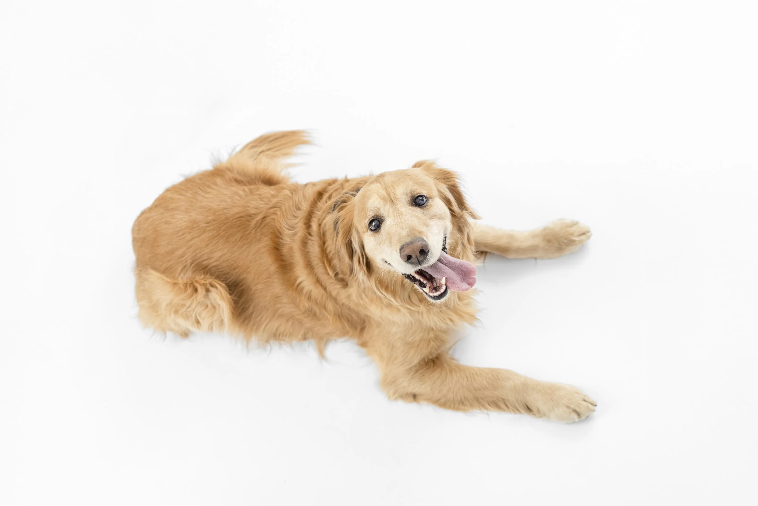 2025_02_15 Fabbro026-2.jpg