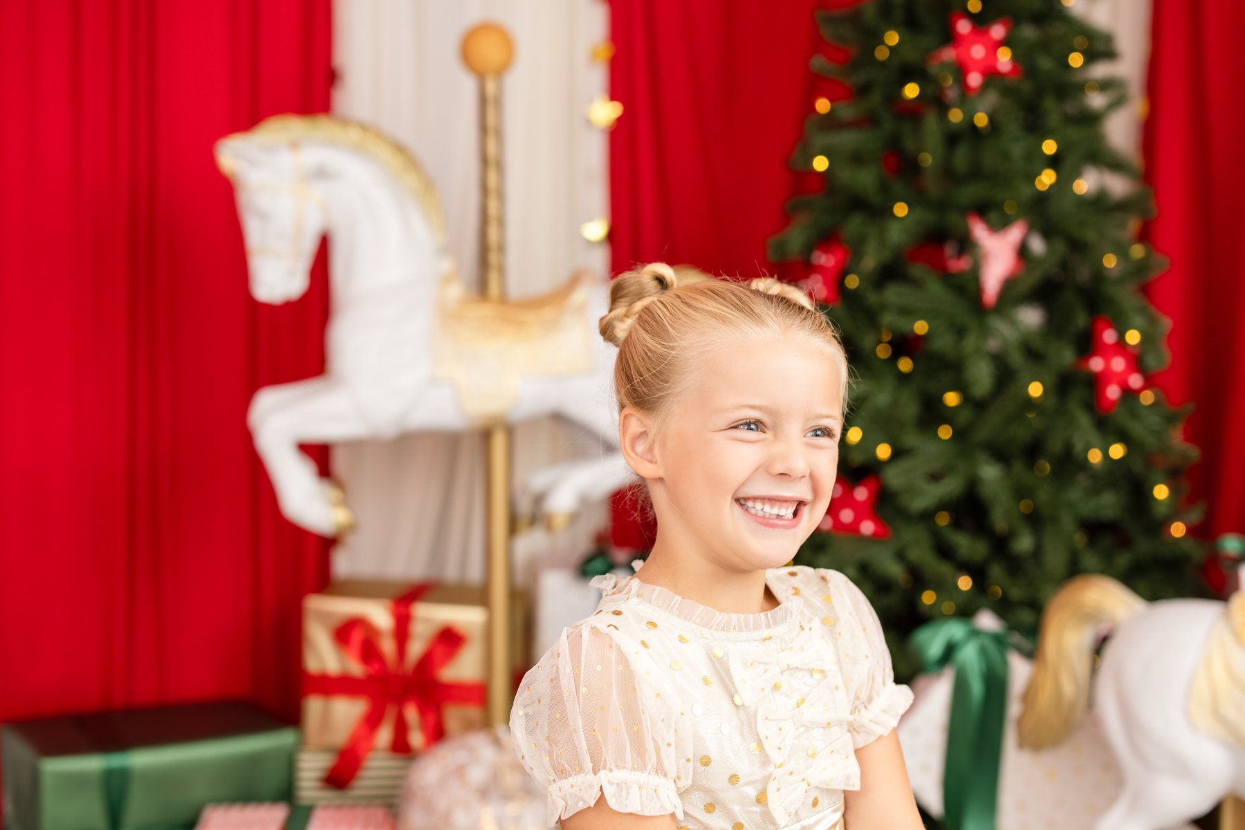 2026 Christmas Carousel_Christmas Photo3.jpg