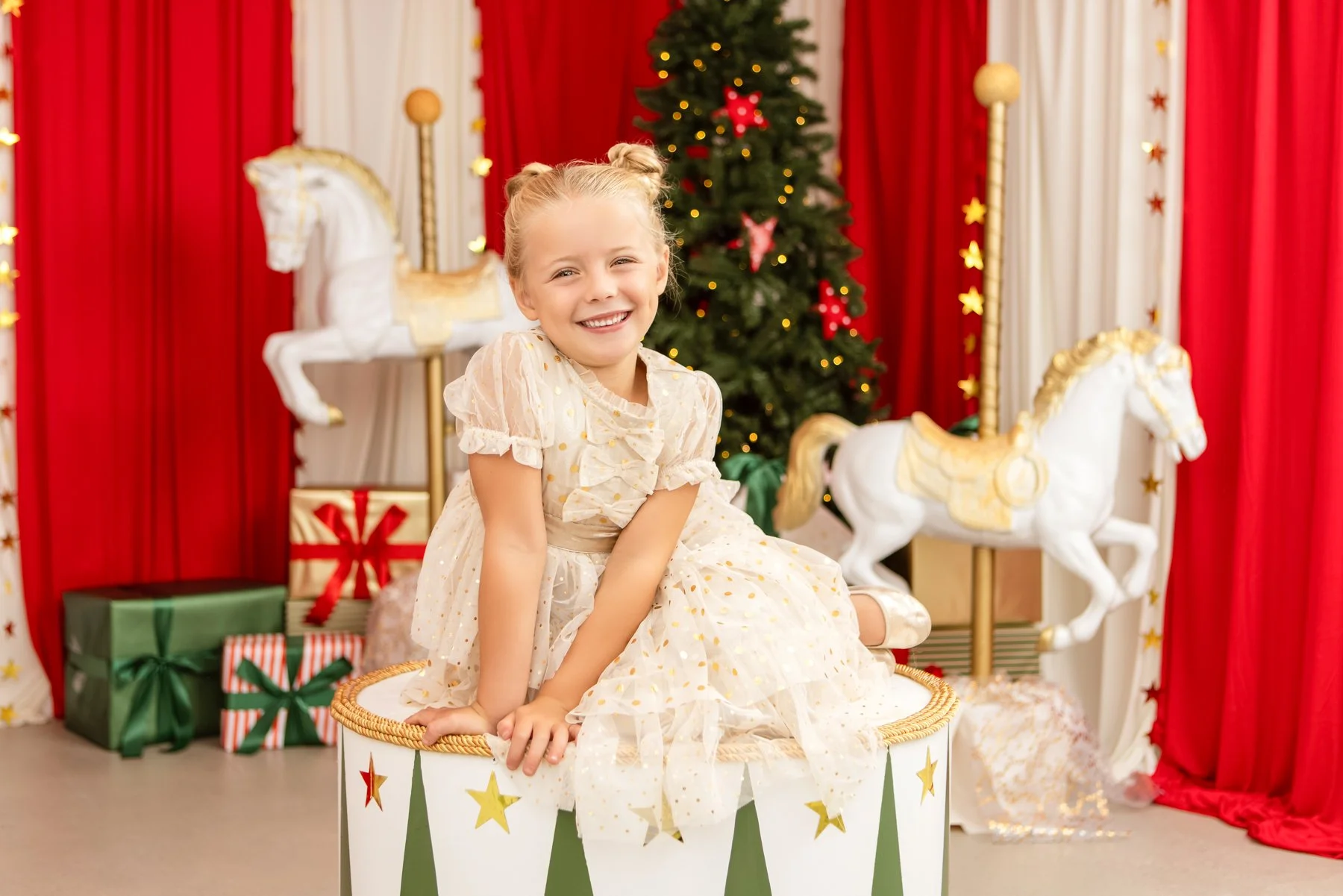 2026 Christmas Carousel_Christmas Photo1.jpg
