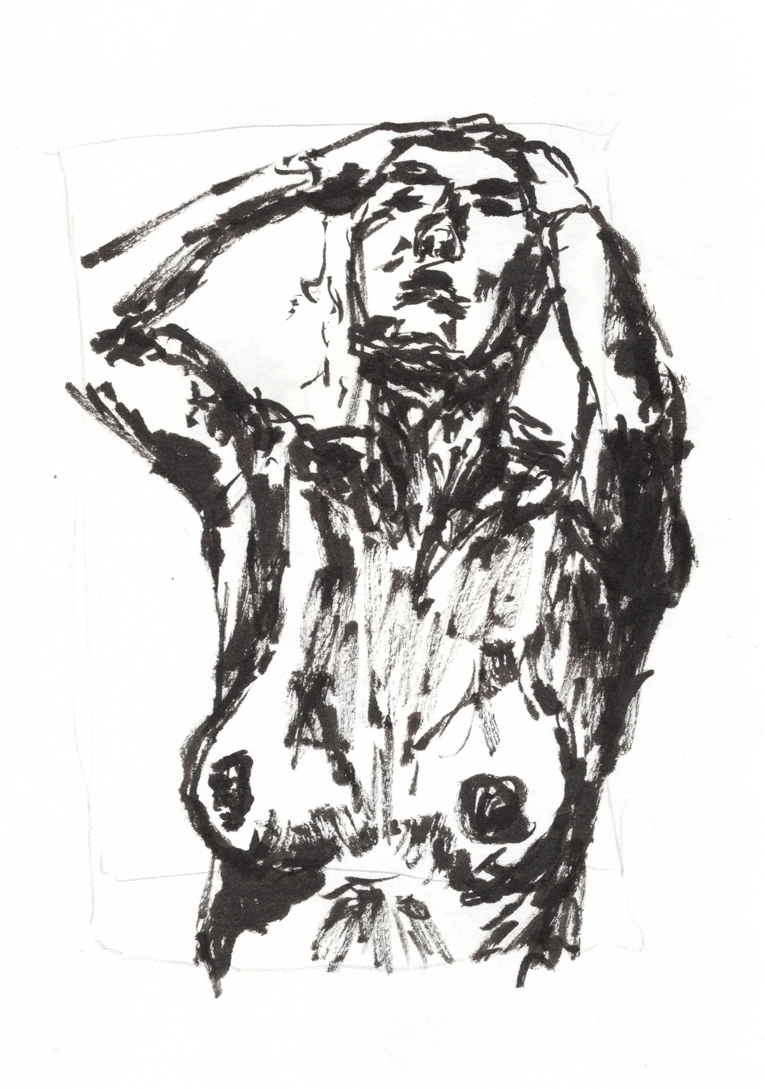 Sketch.jpg