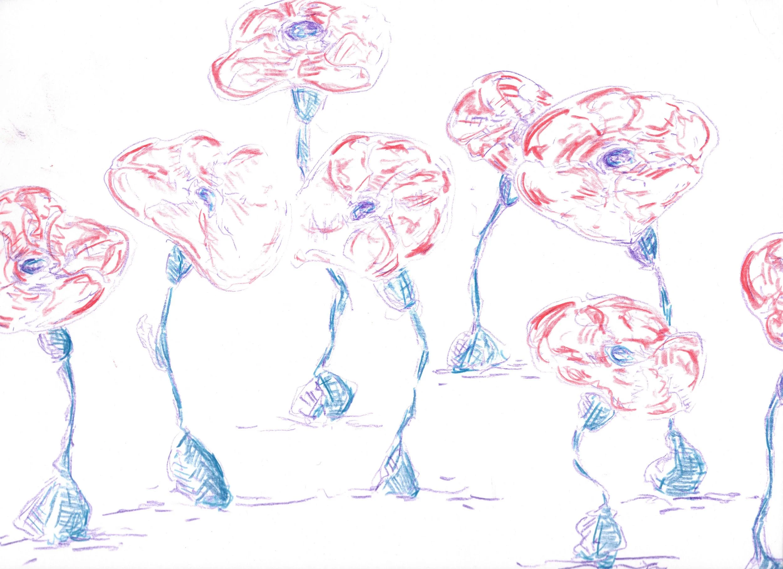 Mushroom Flowers.jpg